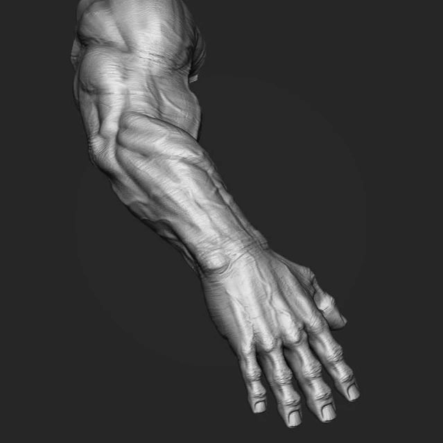Hand 3D Model Low-poly 3D model_13