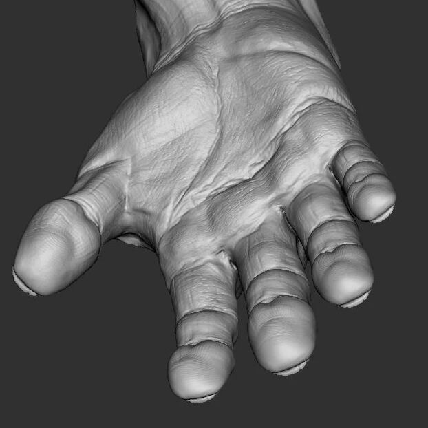 Hand 3D Model Low-poly 3D model_3