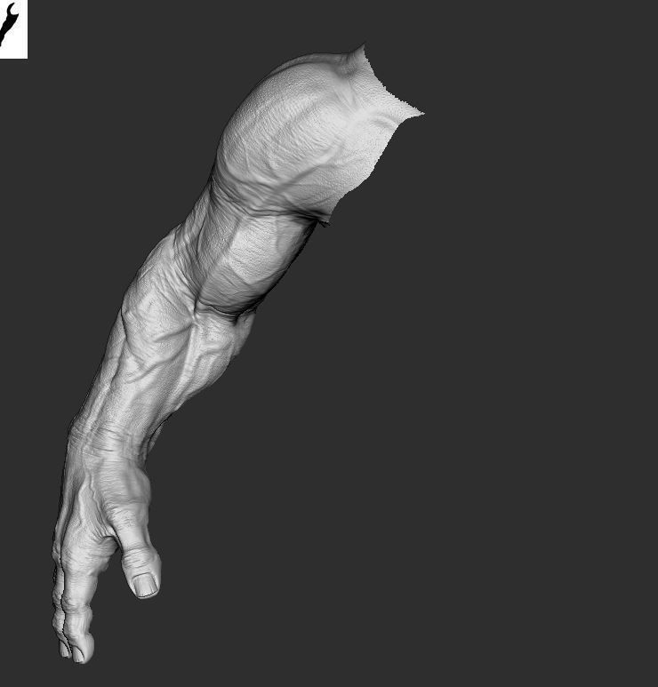 Hand 3D Model Low-poly 3D model_16