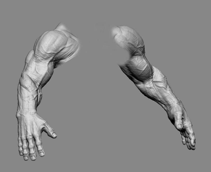 Hand 3D Model Low-poly 3D model_14