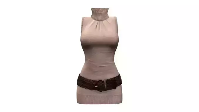 Roll Neck Sleeveless Dress With Belt