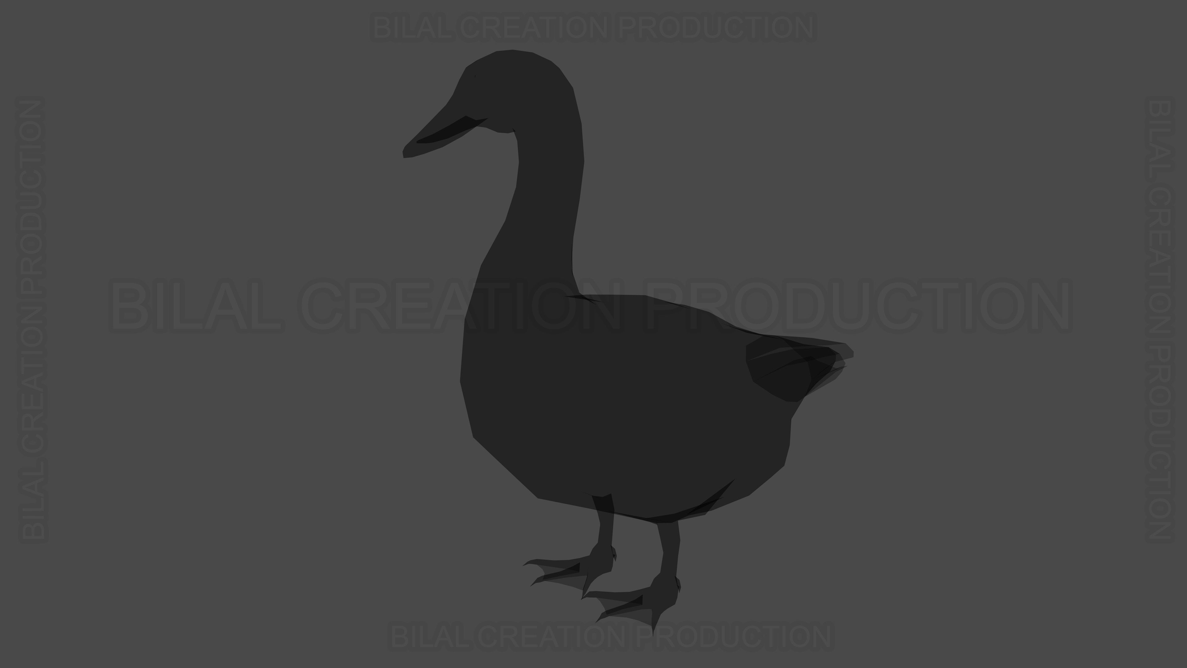 Duck Rigged Animated 3 Low-poly 3D model_19