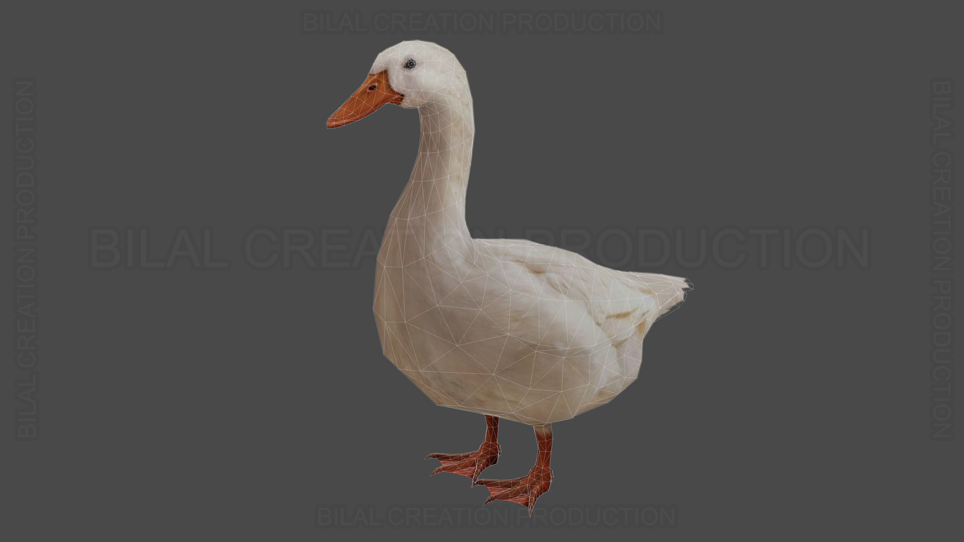 Duck Rigged Animated 3 Low-poly 3D model_17