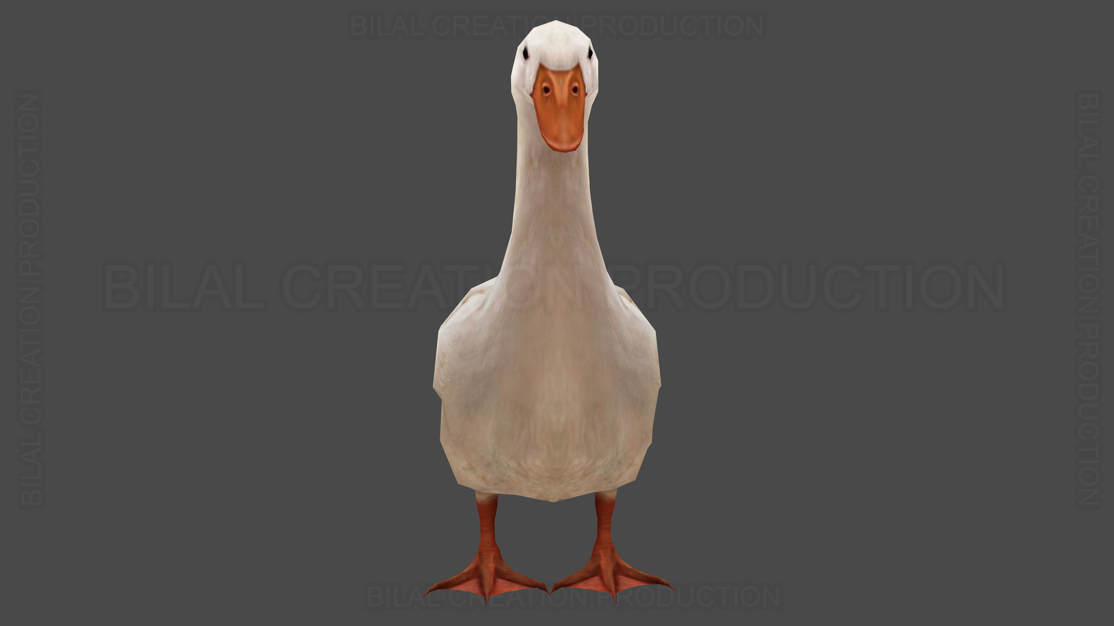 Duck Rigged Animated 3 Low-poly 3D model_8