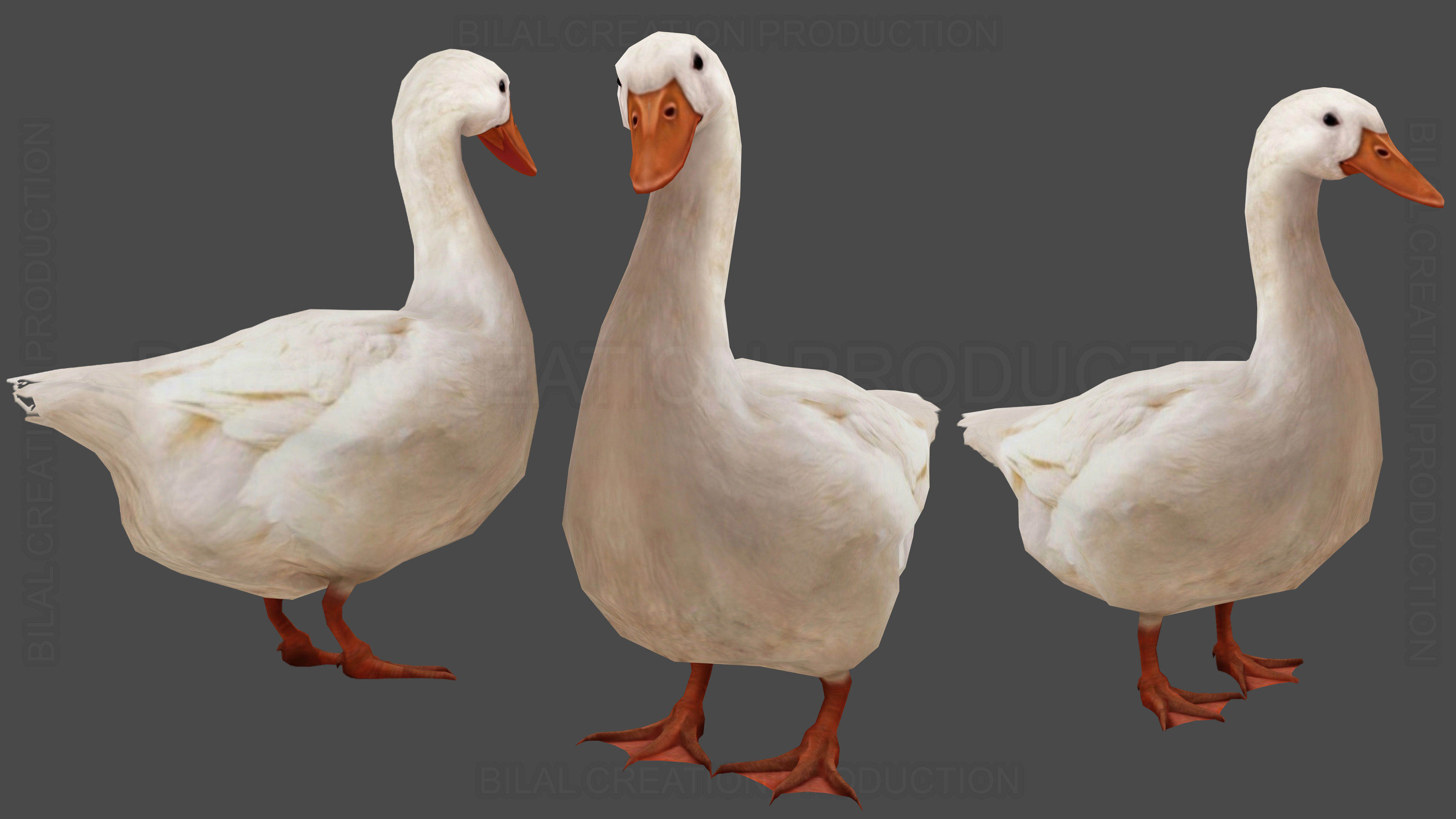 Duck Rigged Animated 3 Low-poly 3D model_2
