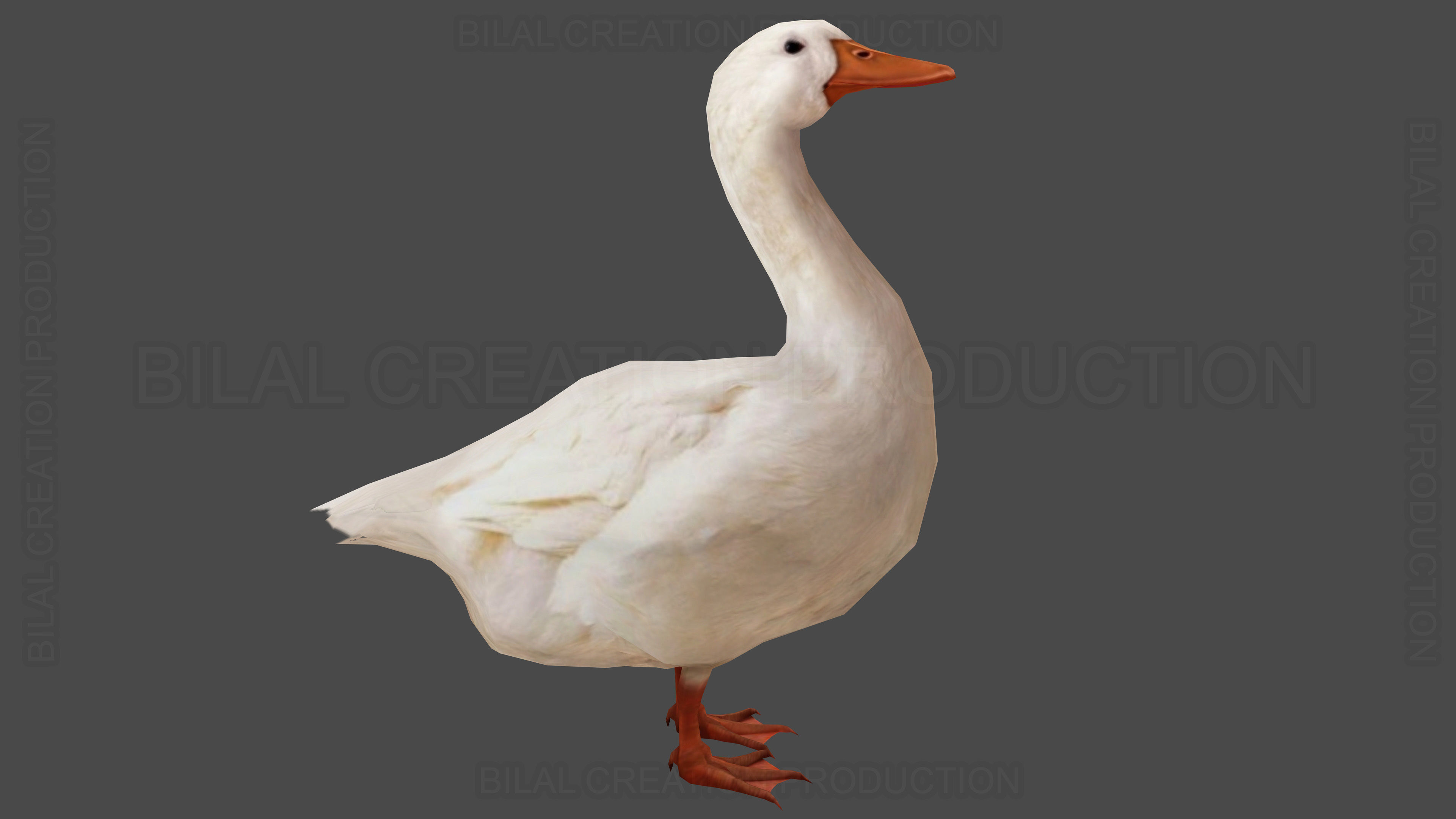 Duck Rigged Animated 3 Low-poly 3D model_4