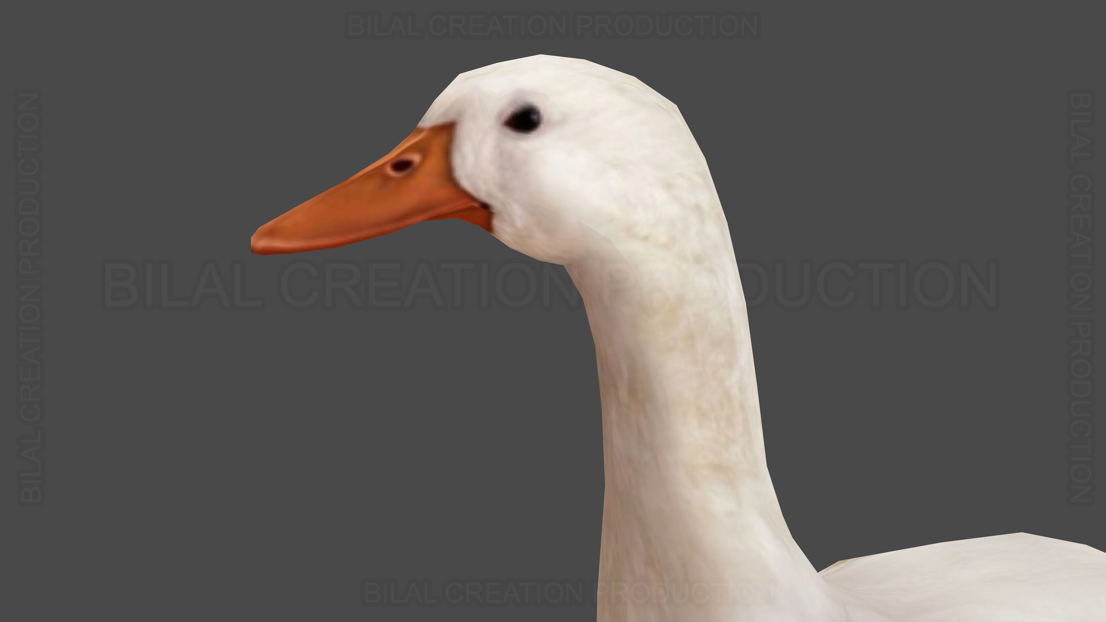 Duck Rigged Animated 3 Low-poly 3D model_12