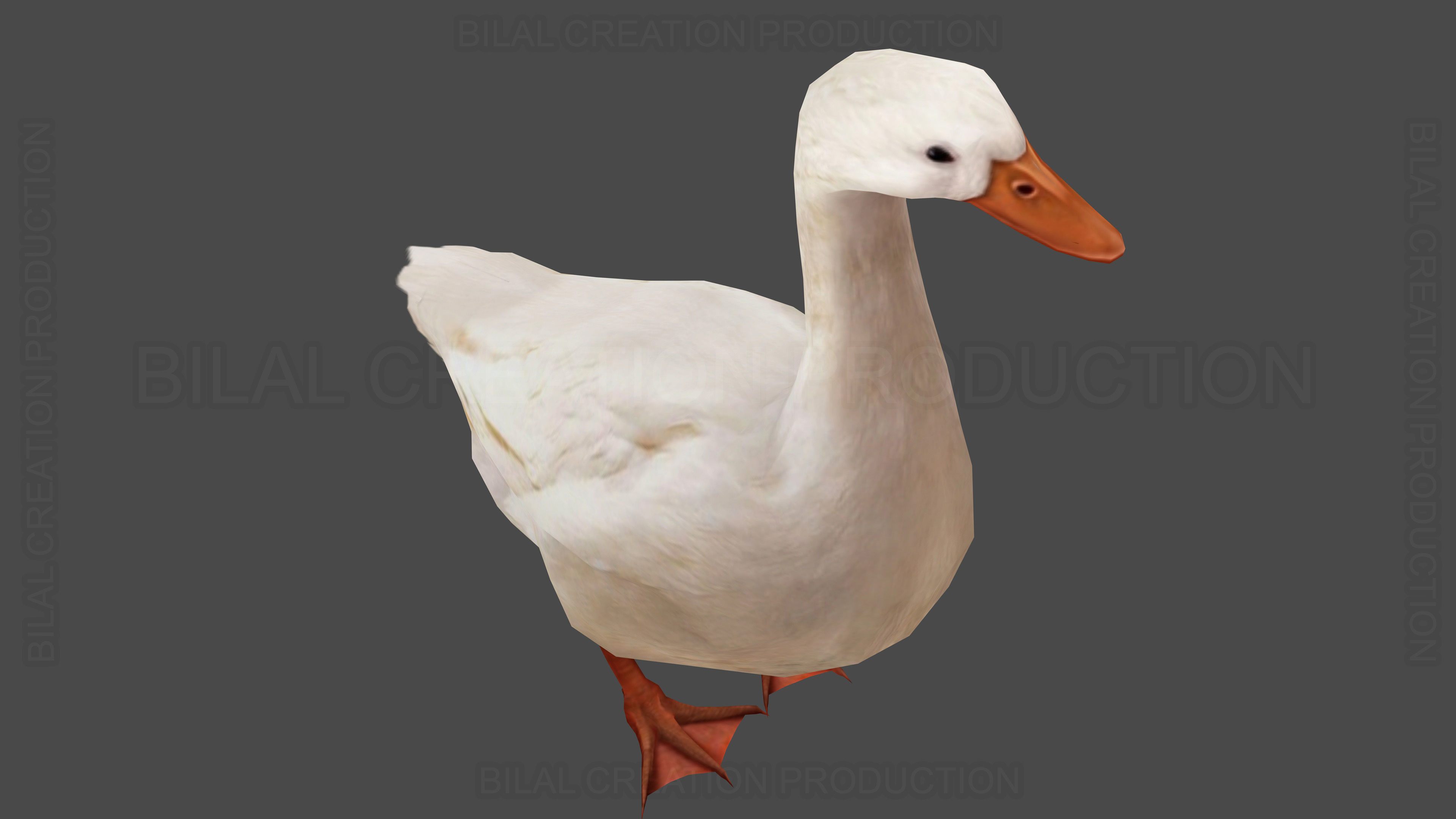 Duck Rigged Animated 3 Low-poly 3D model_13