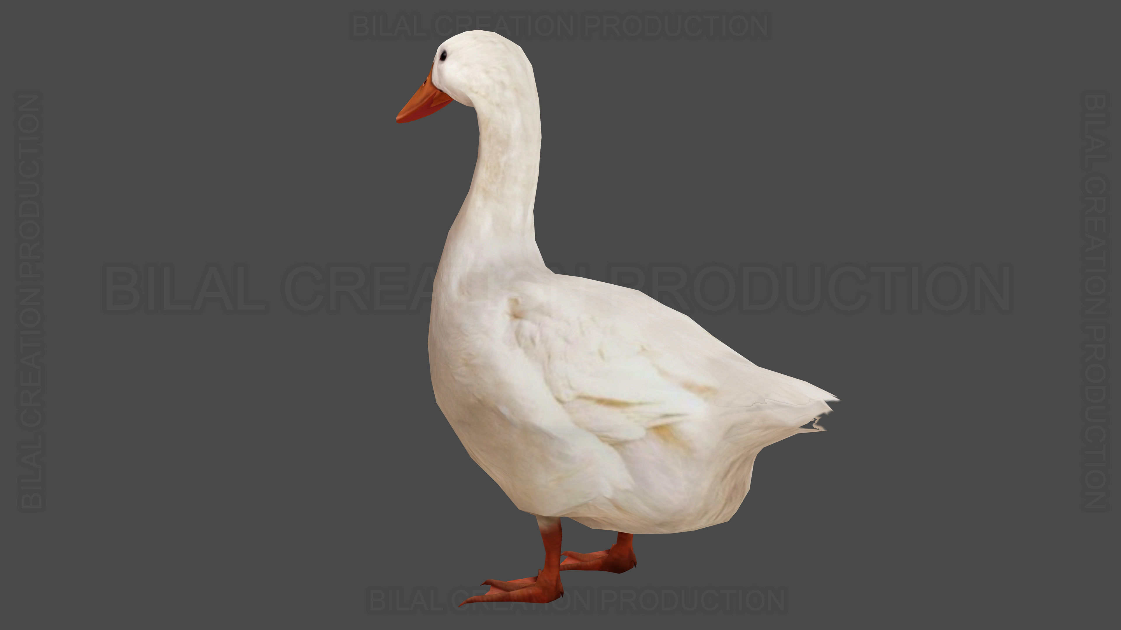 Duck Rigged Animated 3 Low-poly 3D model_10