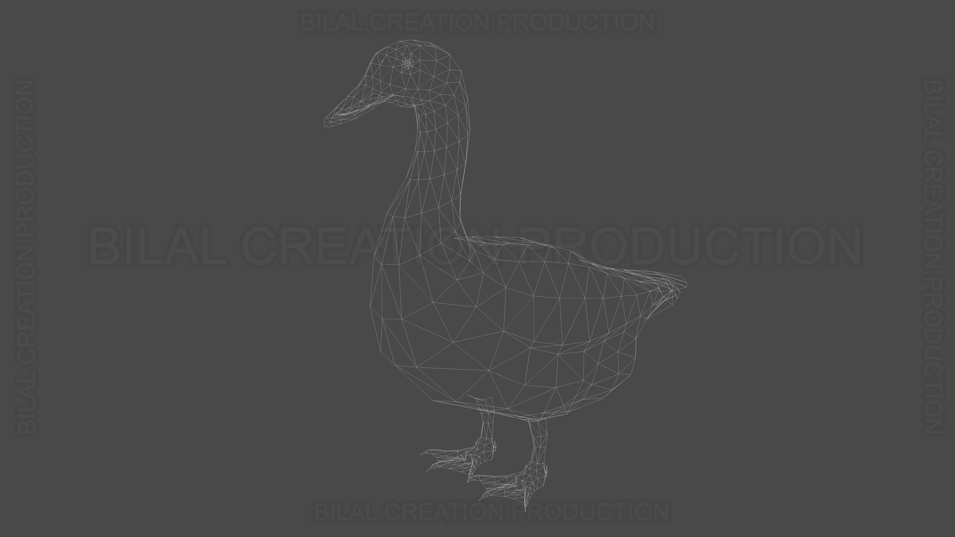 Duck Rigged Animated 3 Low-poly 3D model_20