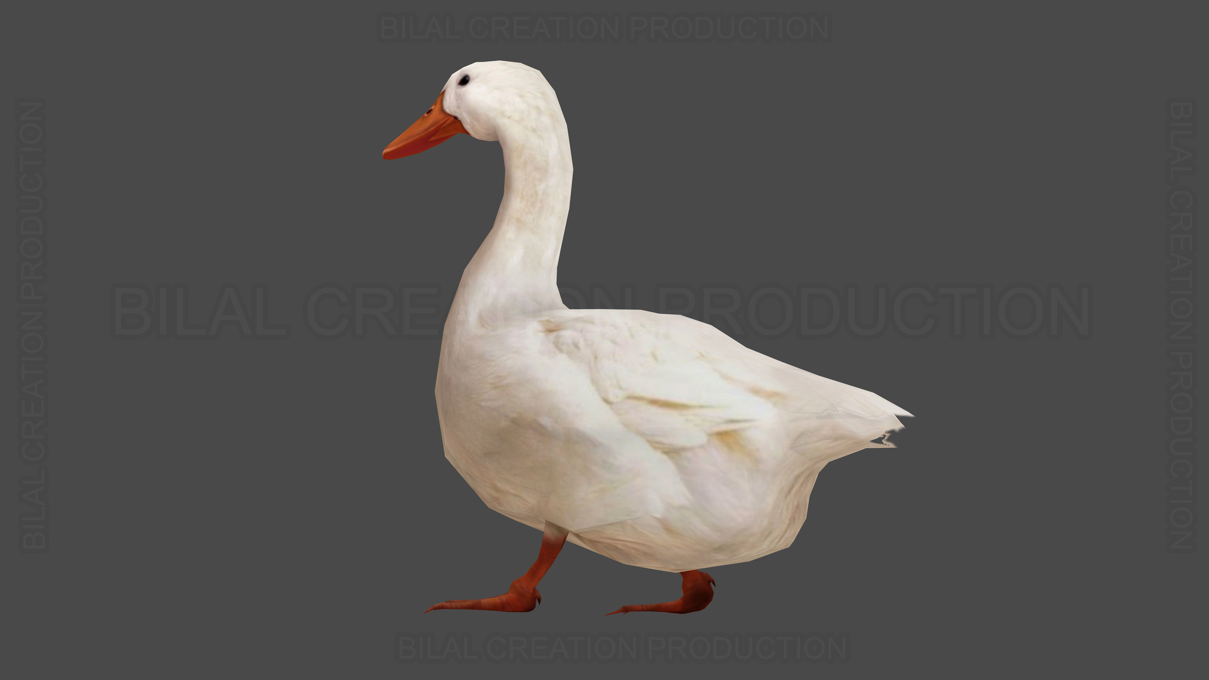 Duck Rigged Animated 3 Low-poly 3D model_7