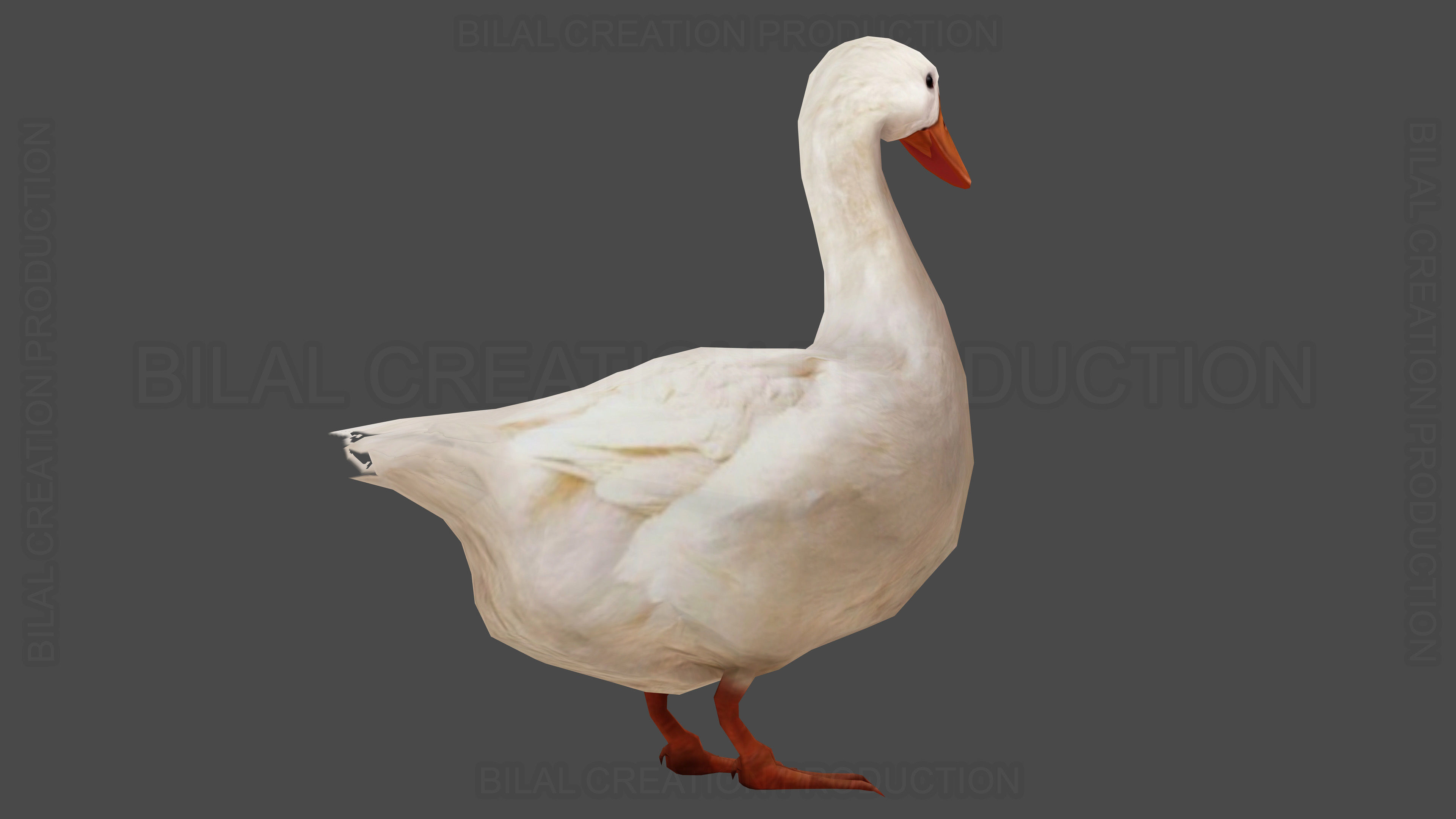Duck Rigged Animated 3 Low-poly 3D model_14