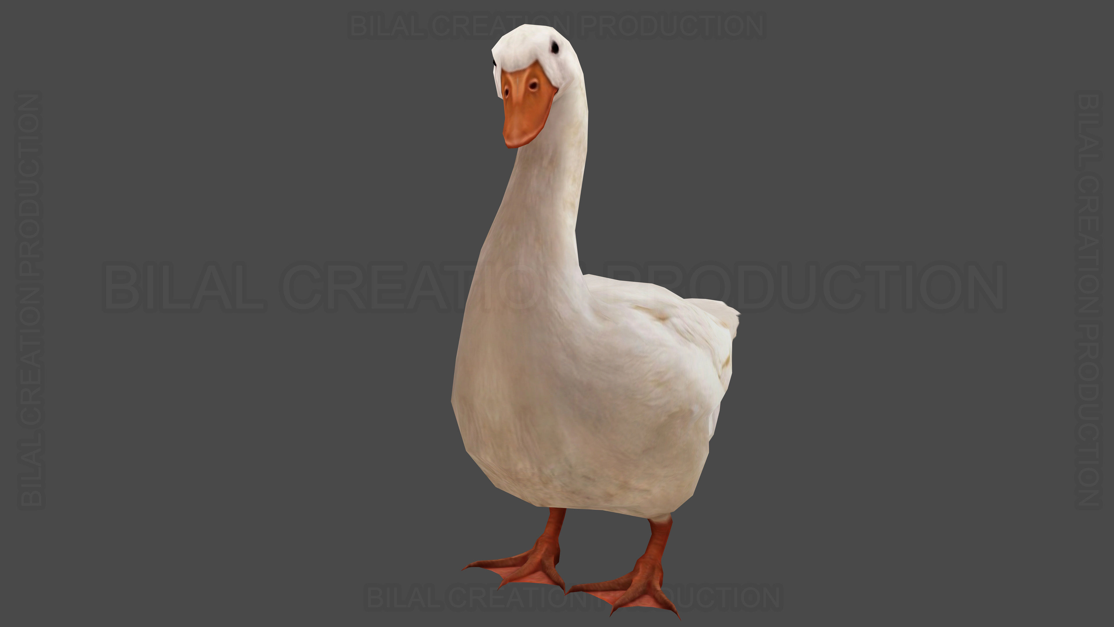 Duck Rigged Animated 3 Low-poly 3D model_3