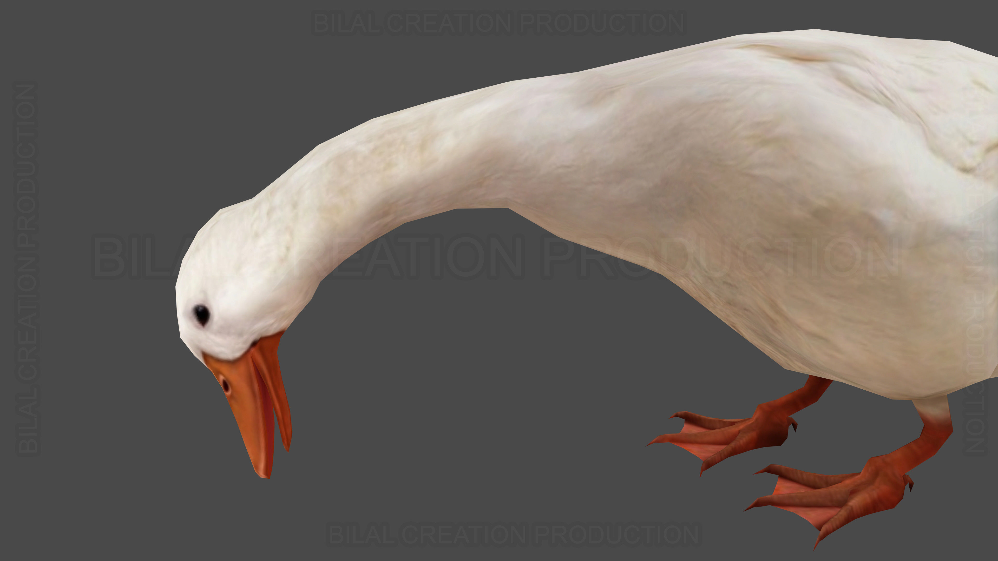 Duck Rigged Animated 3 Low-poly 3D model_15