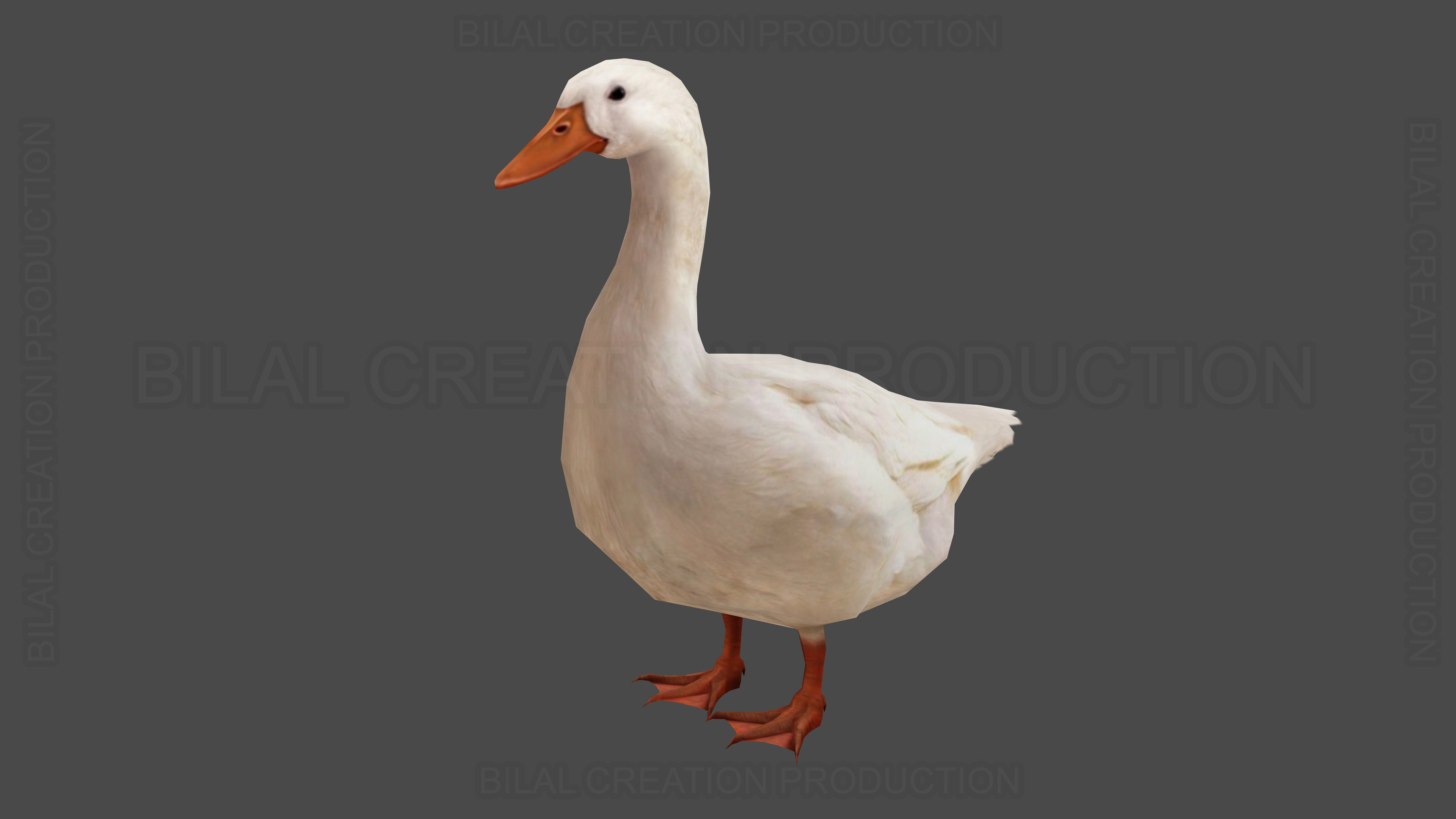 Duck Rigged Animated 3 Low-poly 3D model_5