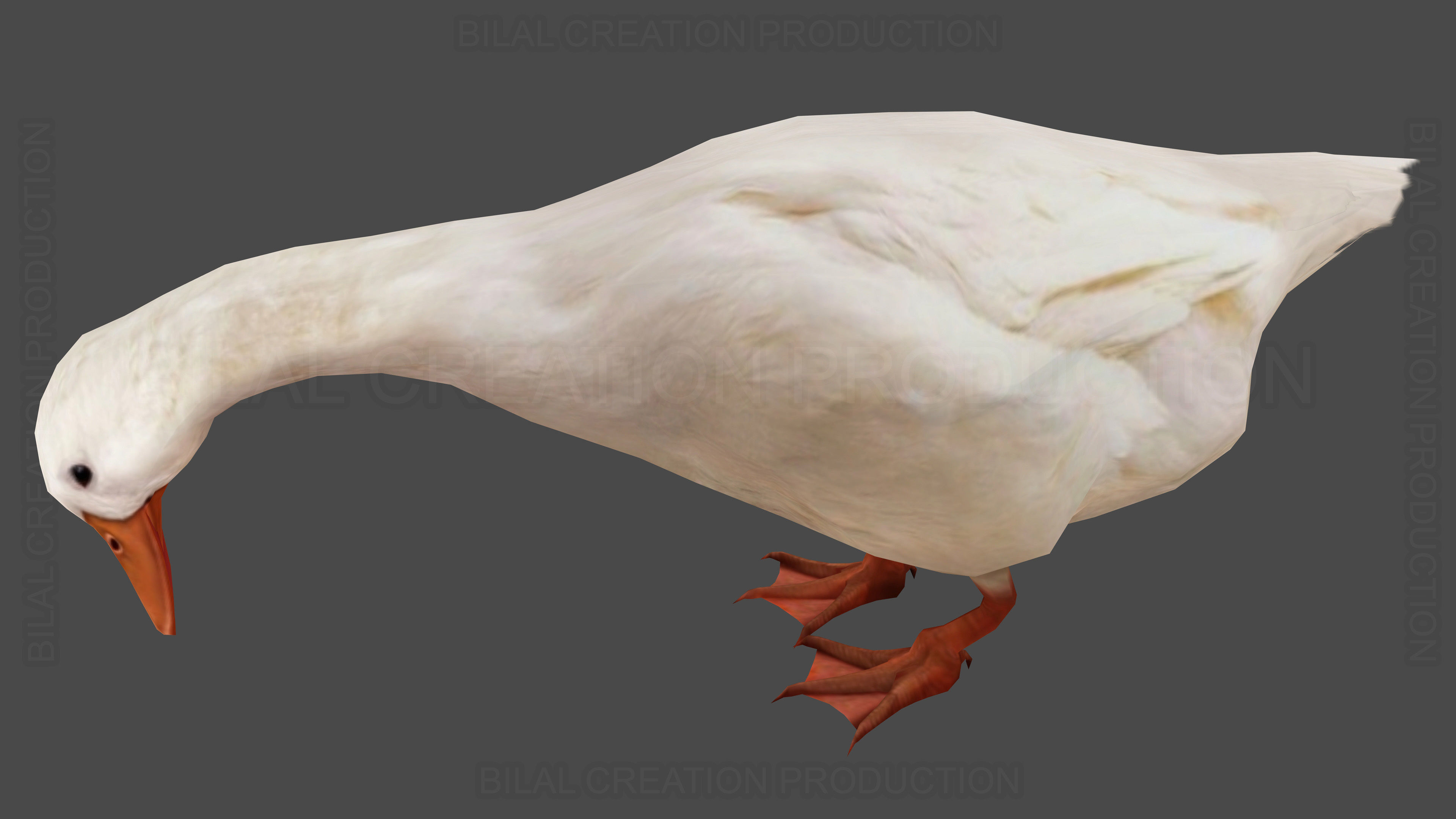 Duck Rigged Animated 3 Low-poly 3D model_6