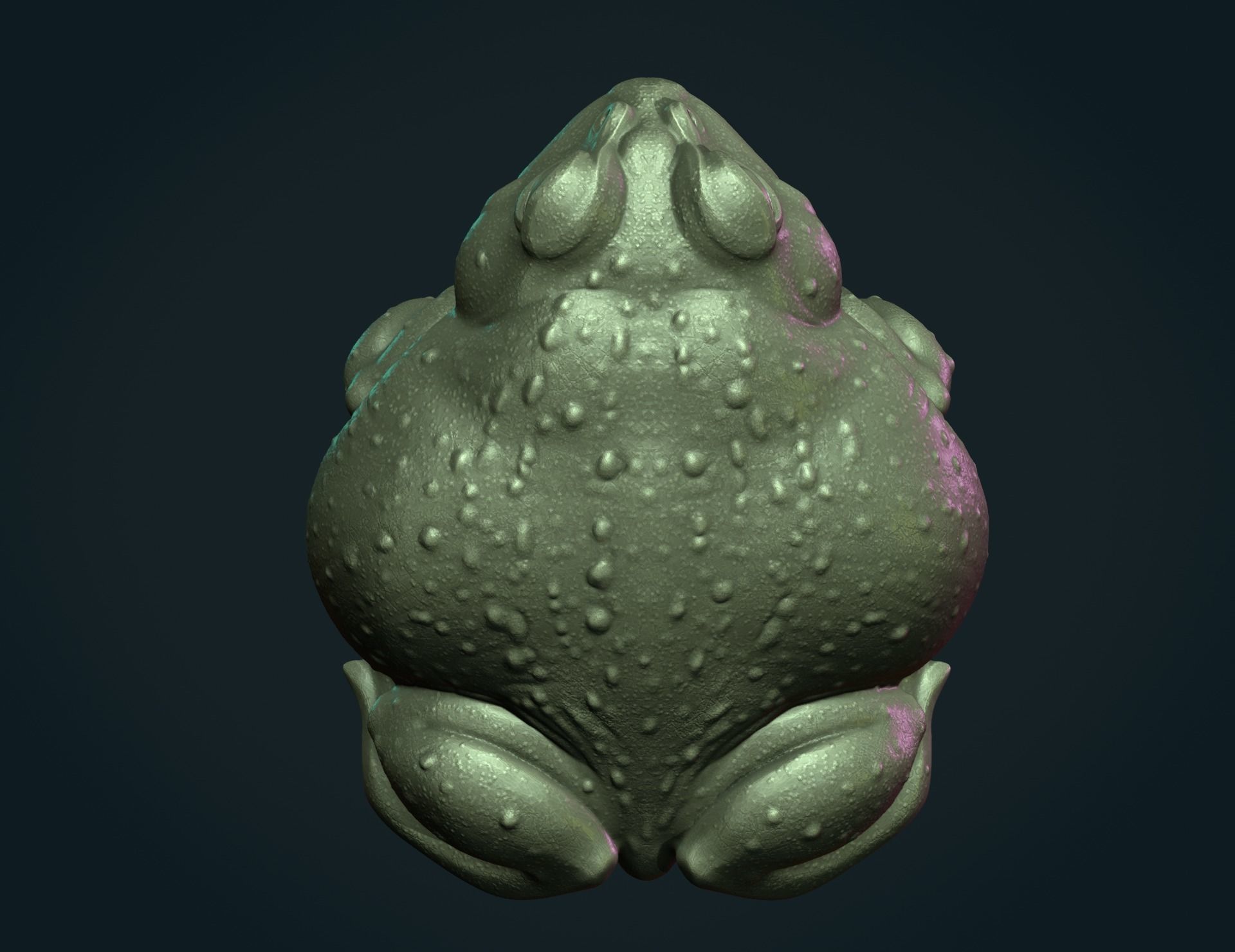 Fat Toad Frog 3D print model_8