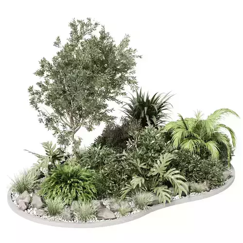 set outdoor indoor  pot plant tree bush fern the garden pot