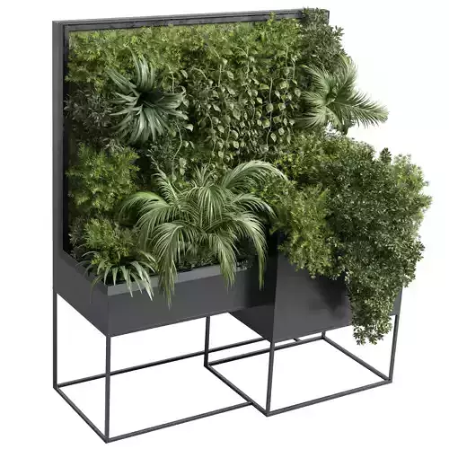 Box Plants on Stand collection of outdoor plants 108