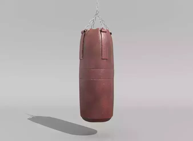 Punshing Bag
