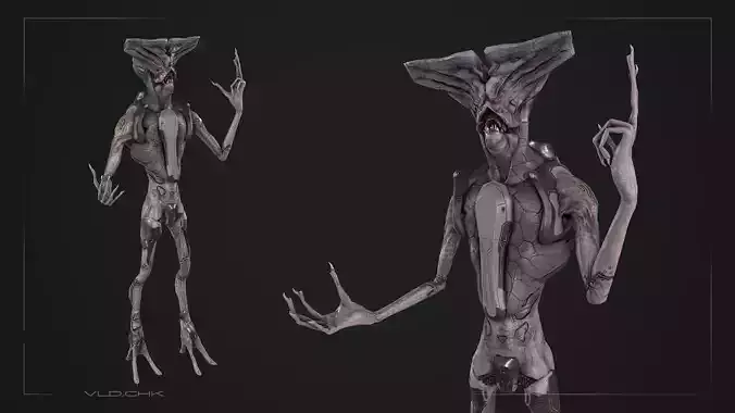 Aidar - StrangerCyborg