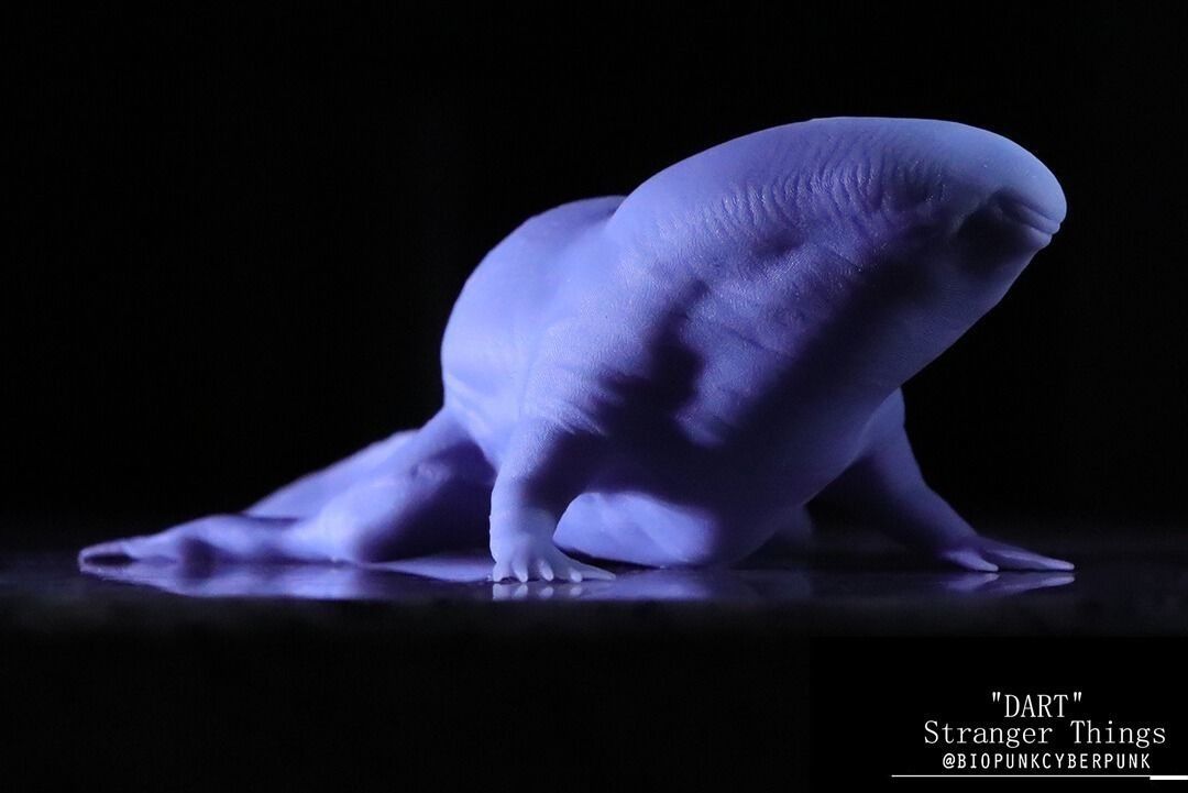 3D PRINTABLE Dart from Stranger Things - 2 PACK - Stage 1 and 2 3D print model_7