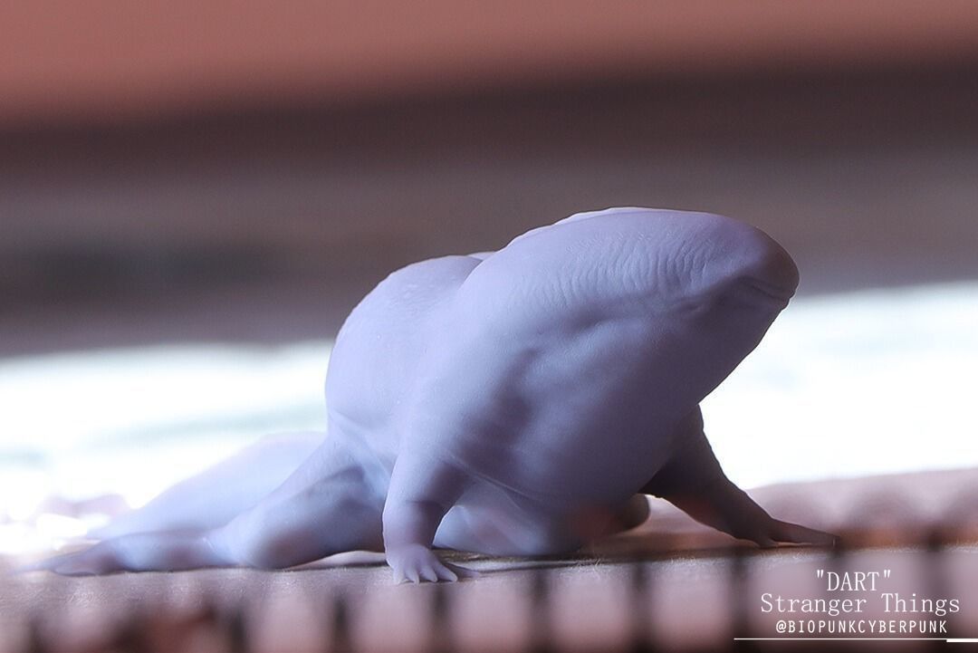 3D PRINTABLE Dart from Stranger Things - 2 PACK - Stage 1 and 2 3D print model_23