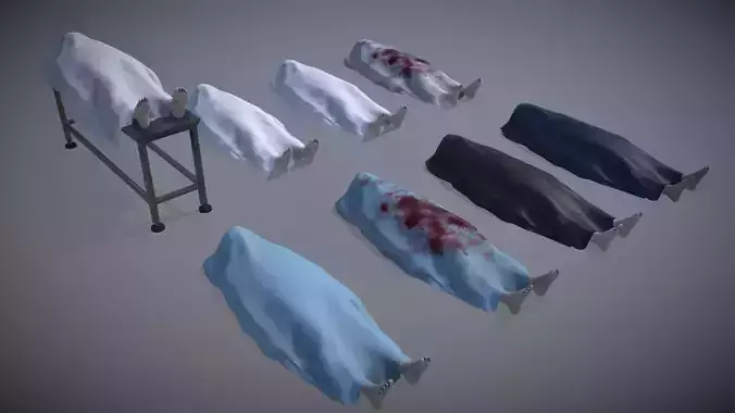 Covered Human Death Body Asset