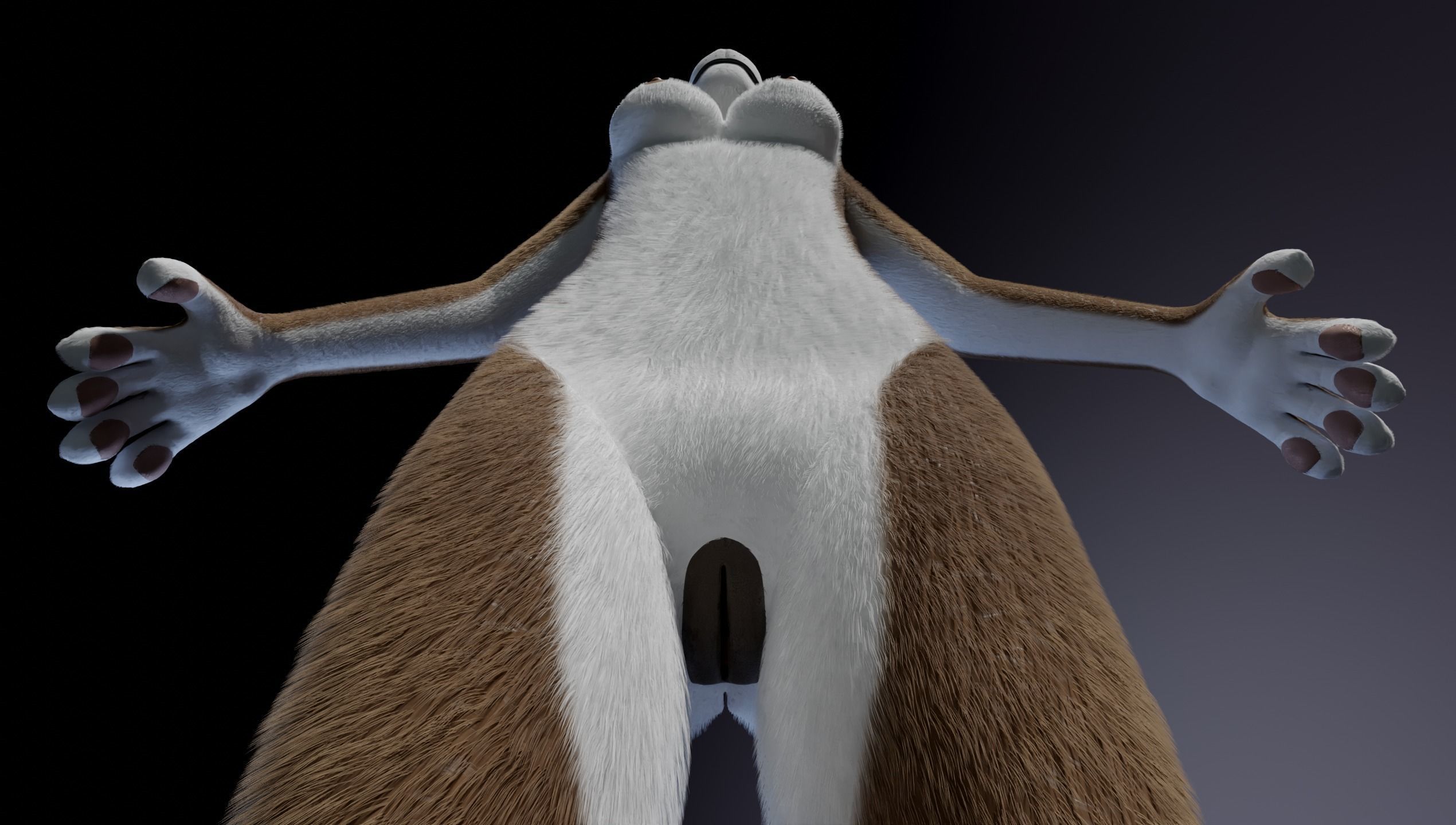 Carly Anthro Rabbit 3D model_14