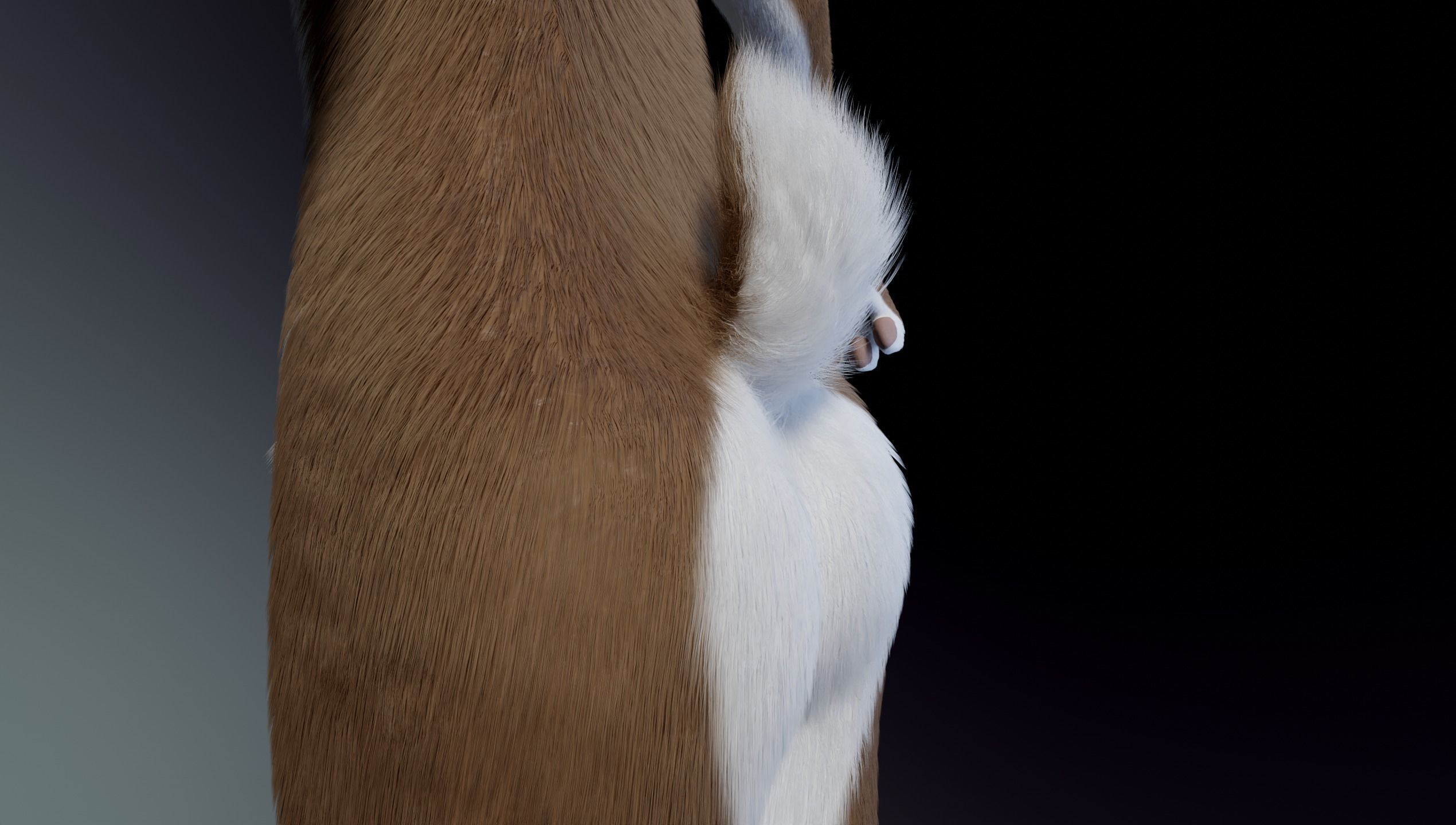 Carly Anthro Rabbit 3D model_16