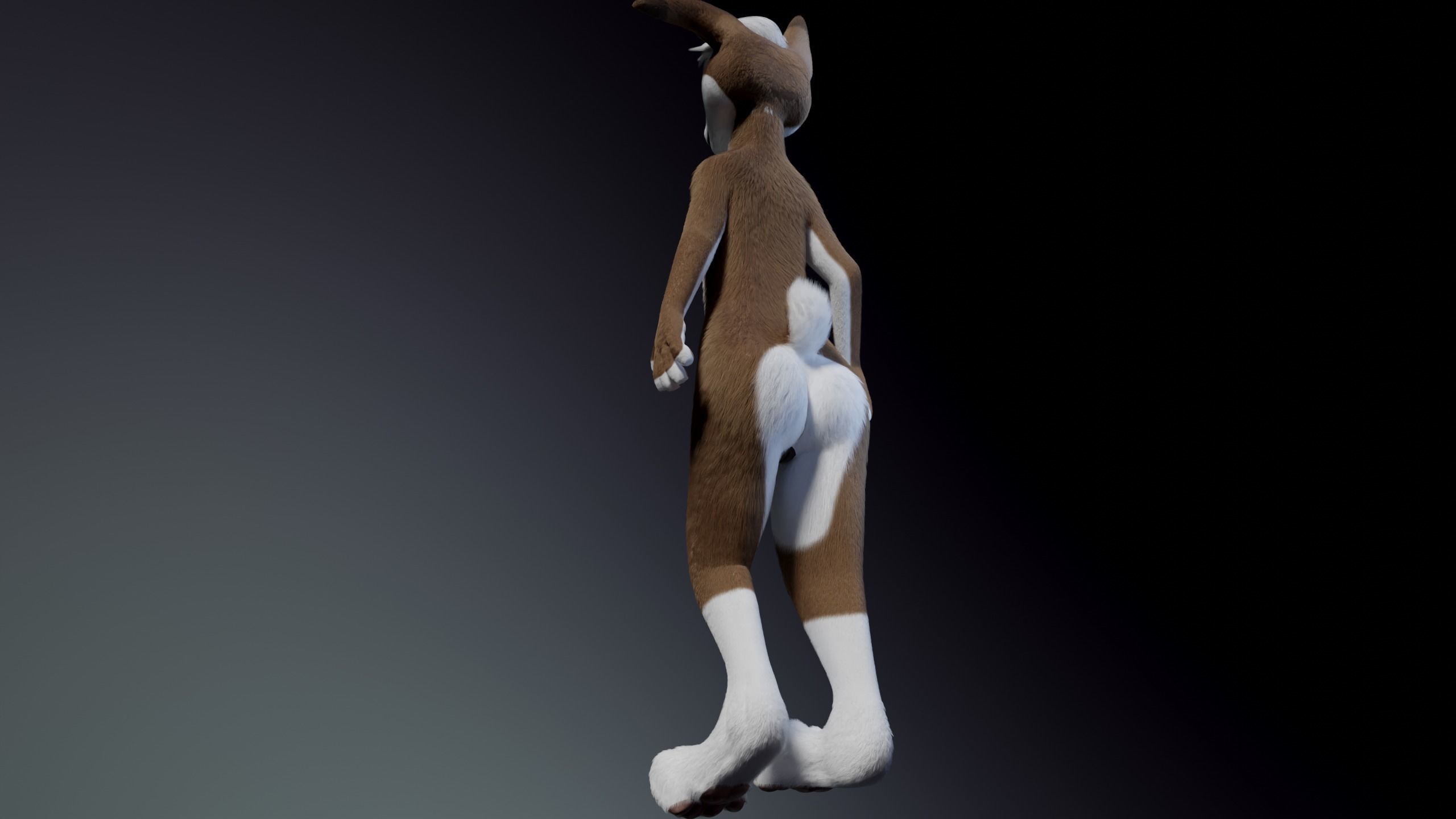 Carly Anthro Rabbit 3D model_21