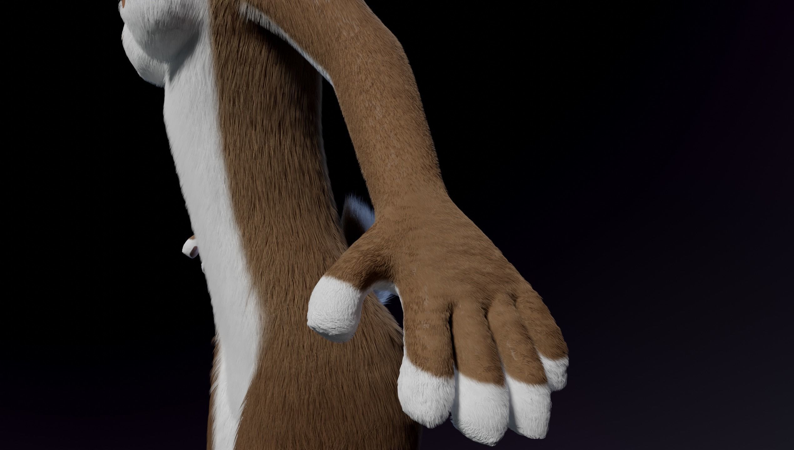 Carly Anthro Rabbit 3D model_10