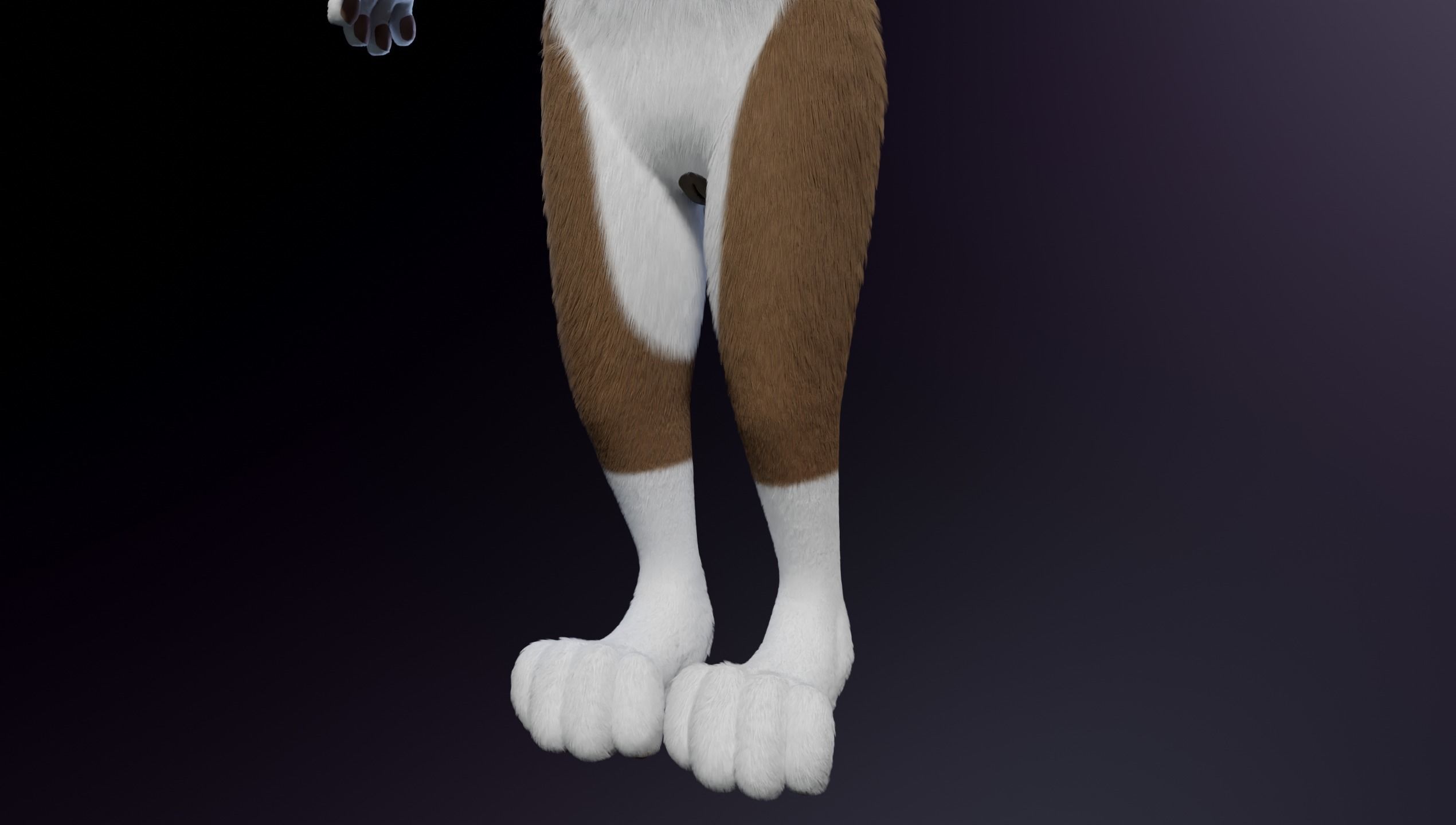 Carly Anthro Rabbit 3D model_9