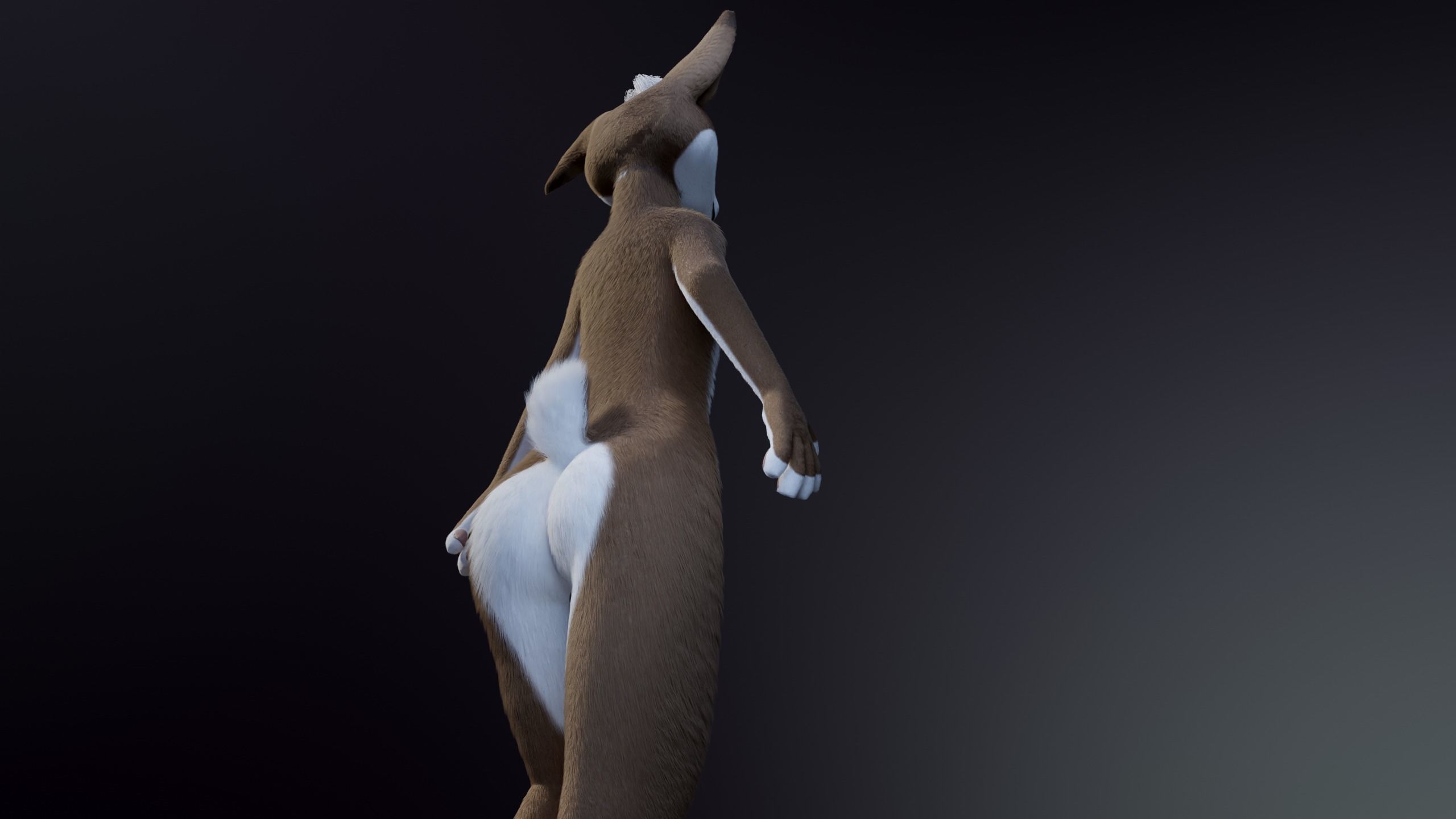 Carly Anthro Rabbit 3D model_22