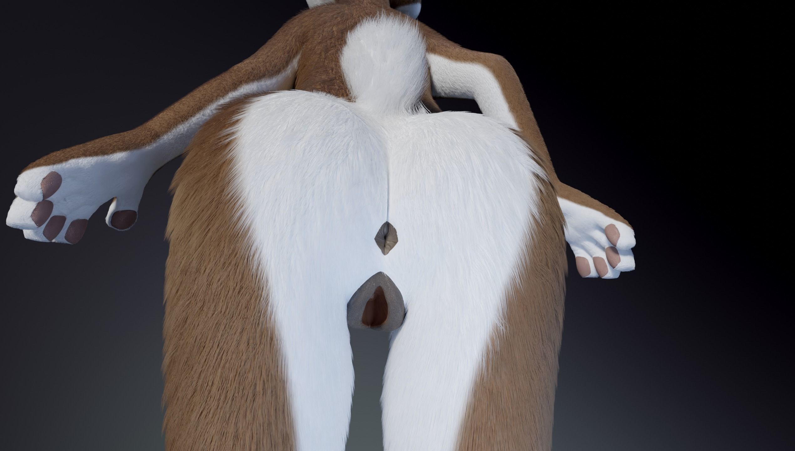 Carly Anthro Rabbit 3D model_17