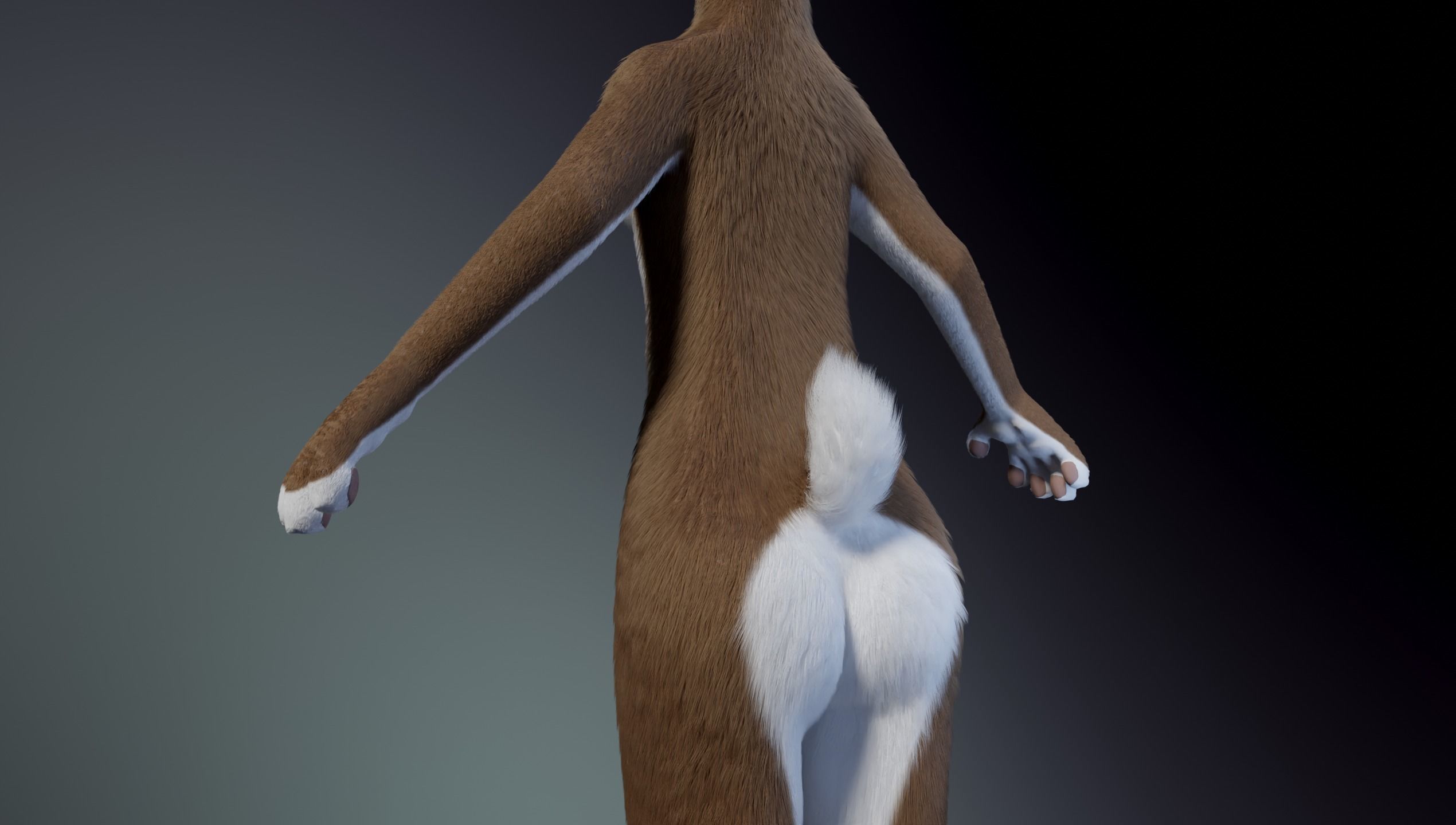 Carly Anthro Rabbit 3D model_7