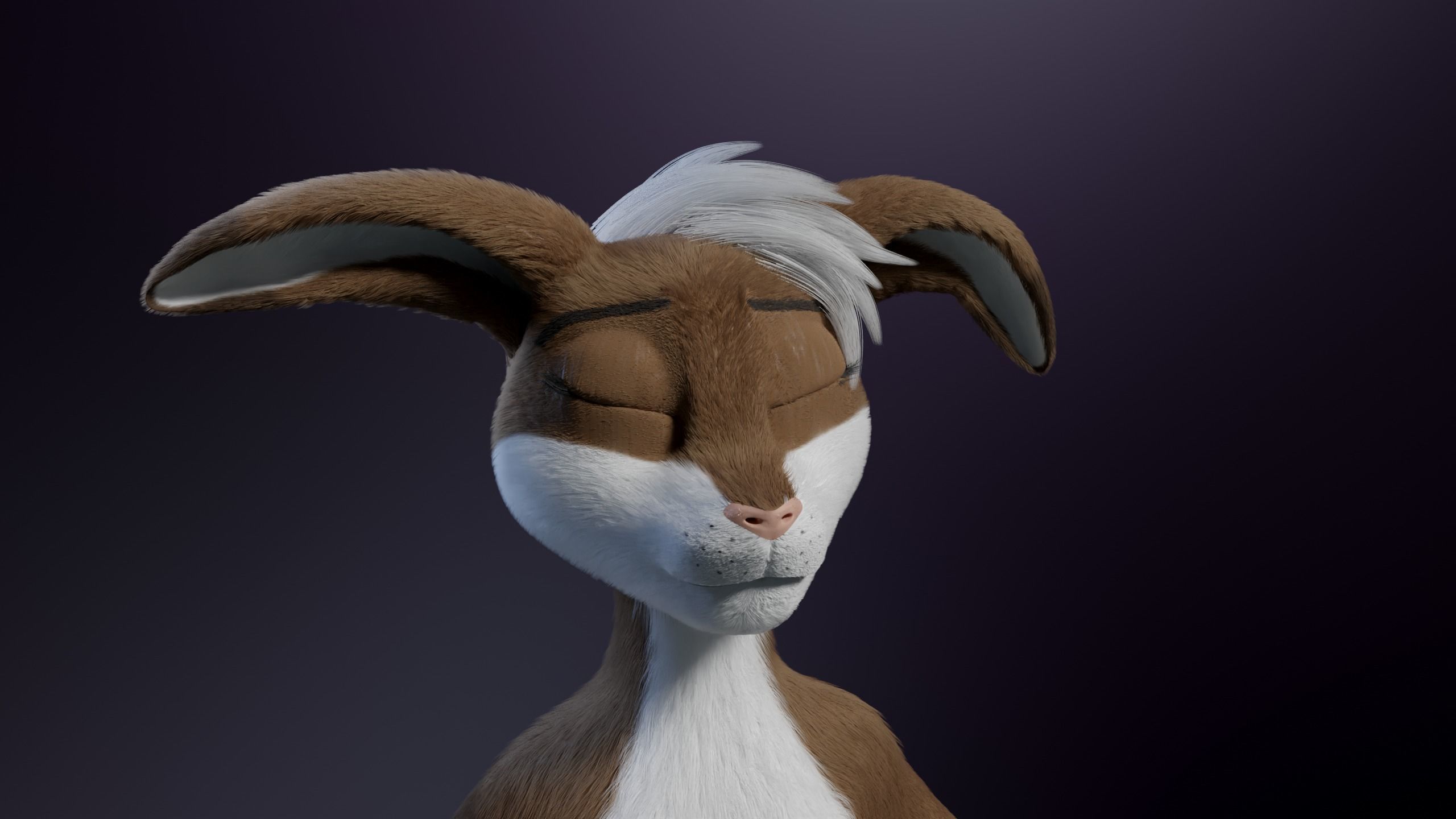 Carly Anthro Rabbit 3D model_35