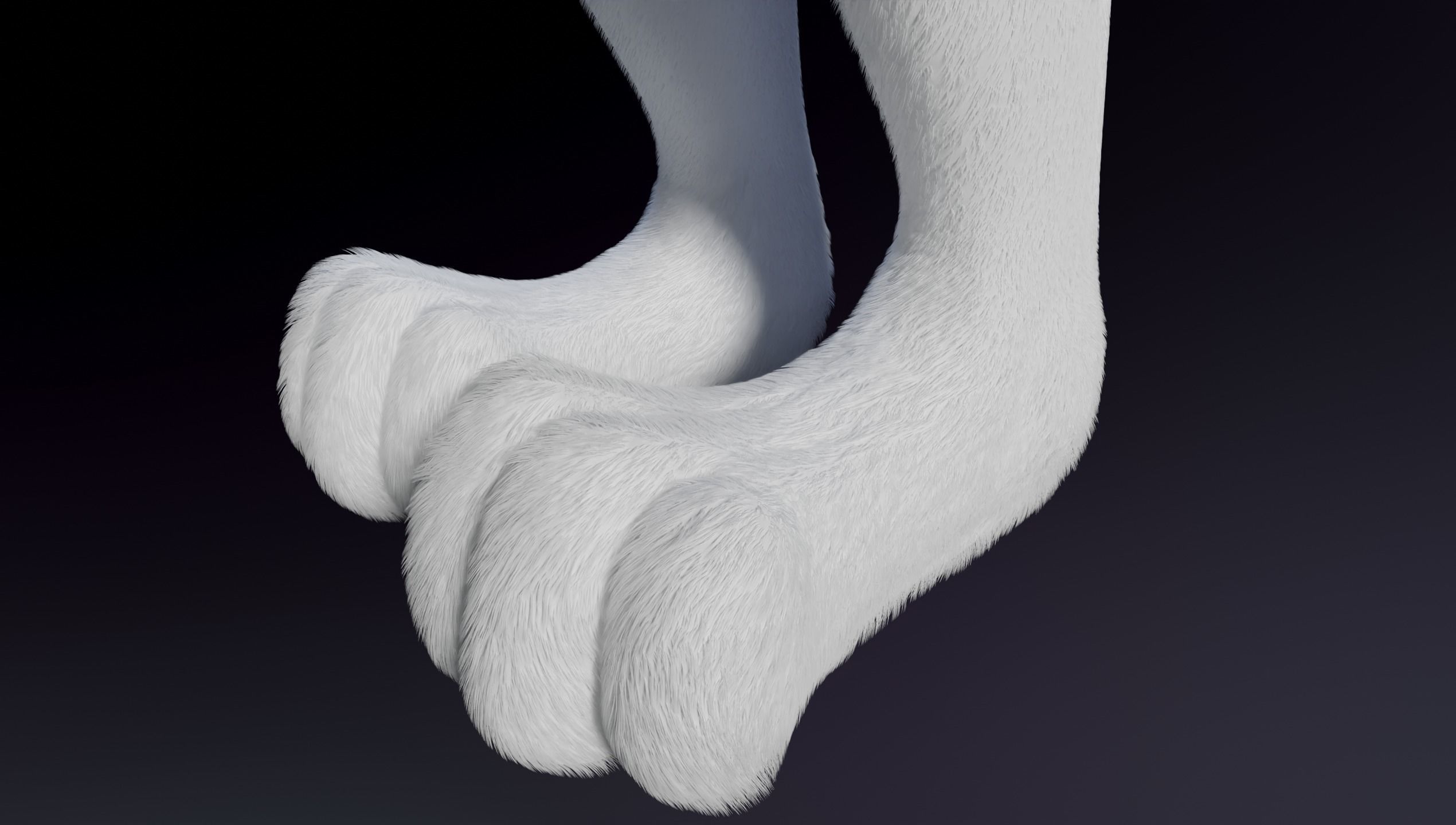 Carly Anthro Rabbit 3D model_12