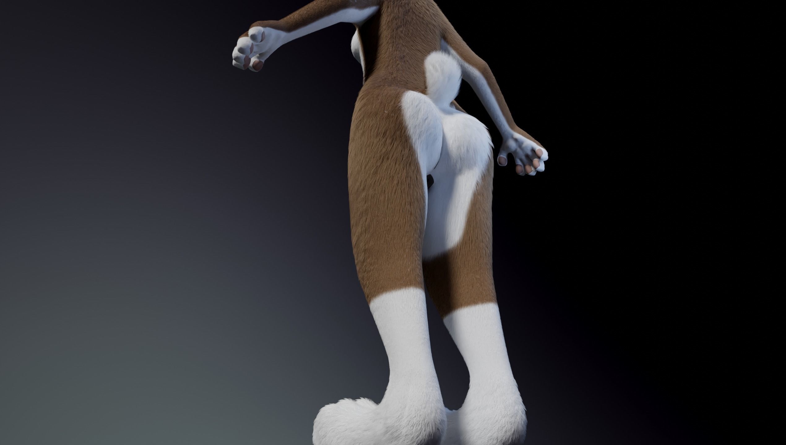 Carly Anthro Rabbit 3D model_8