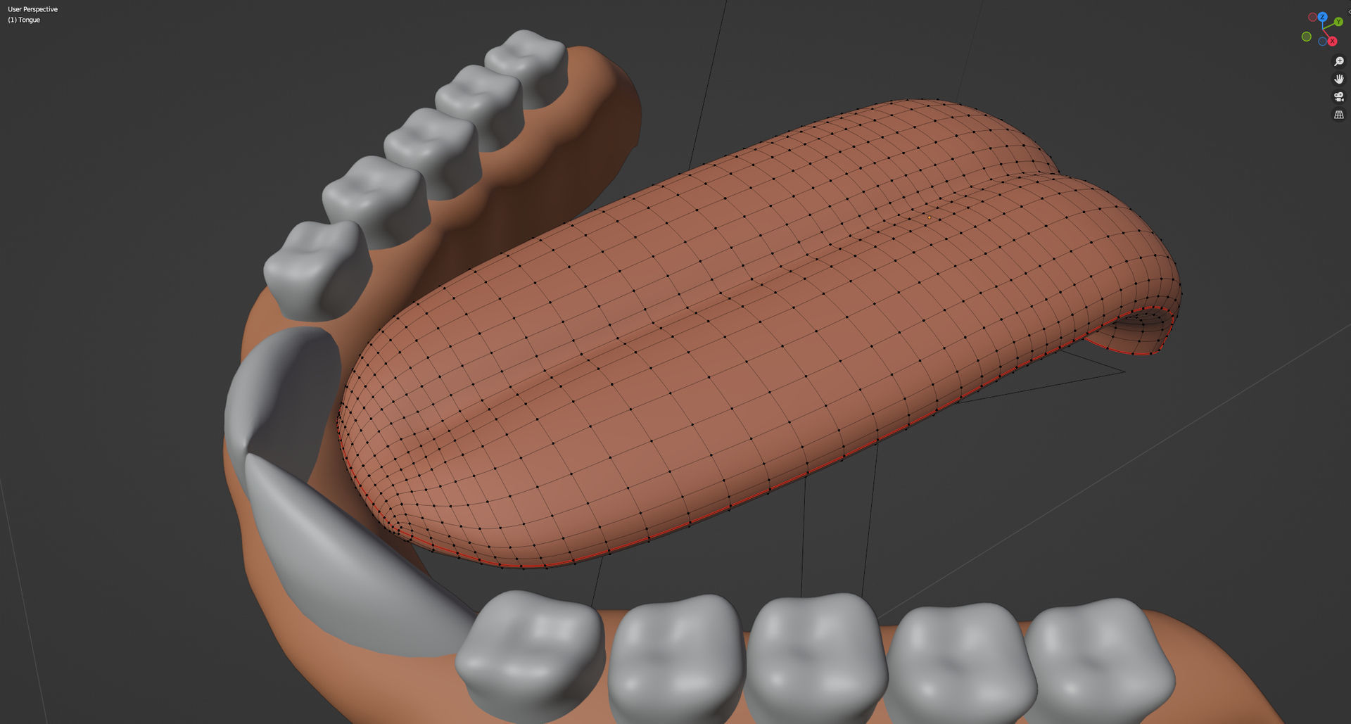 Carly Anthro Rabbit 3D model_99