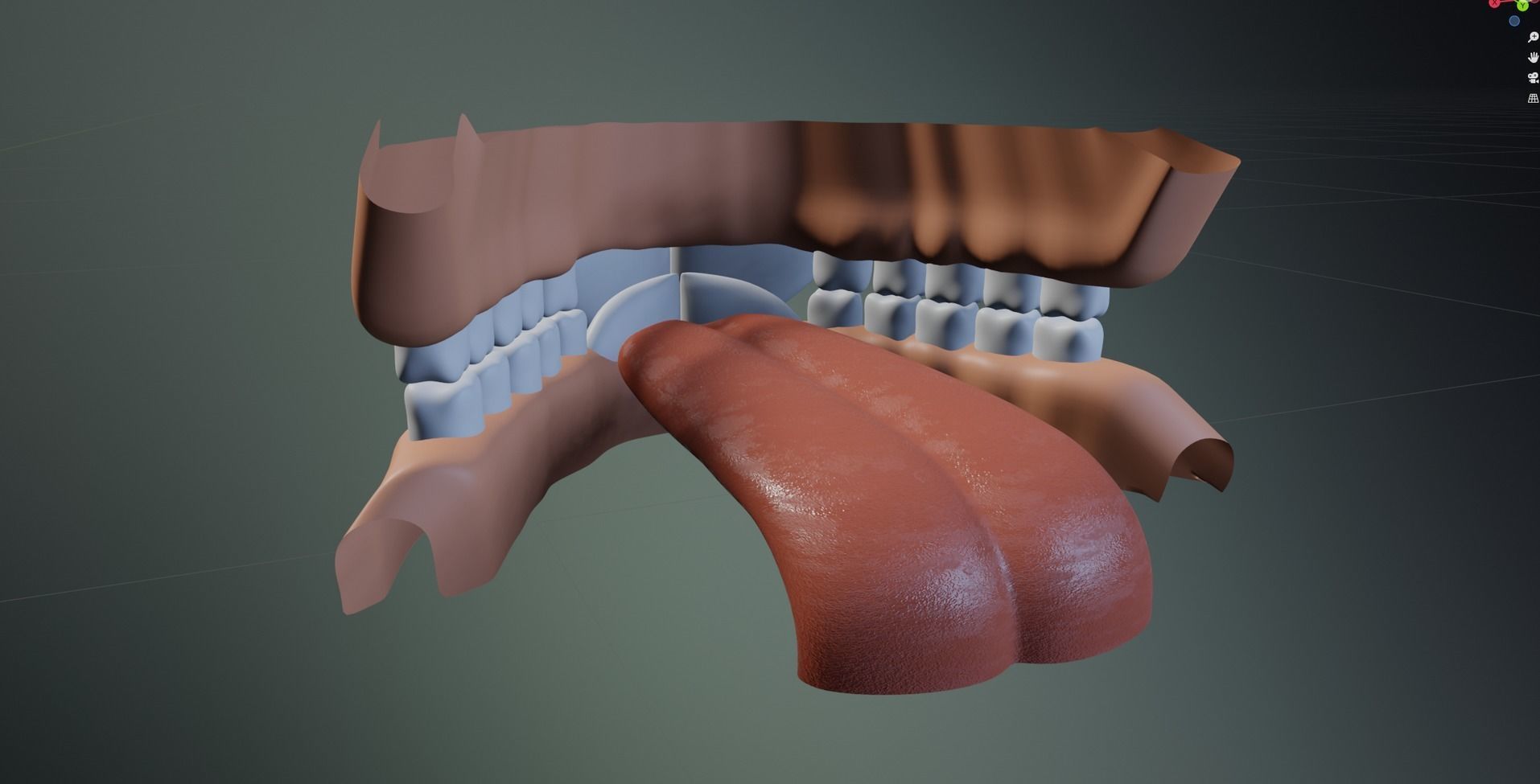 Carly Anthro Rabbit 3D model_97