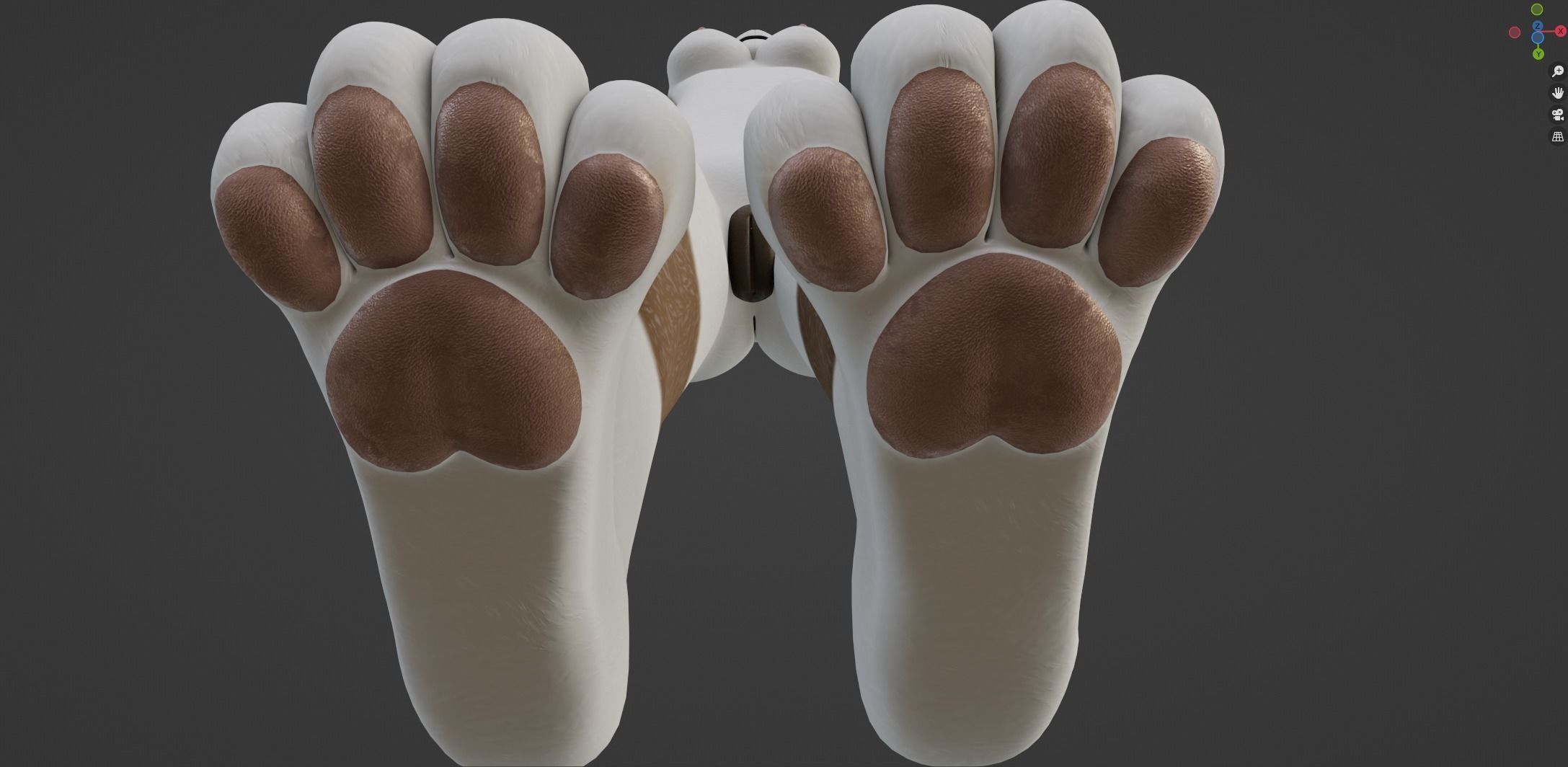 Carly Anthro Rabbit 3D model_56