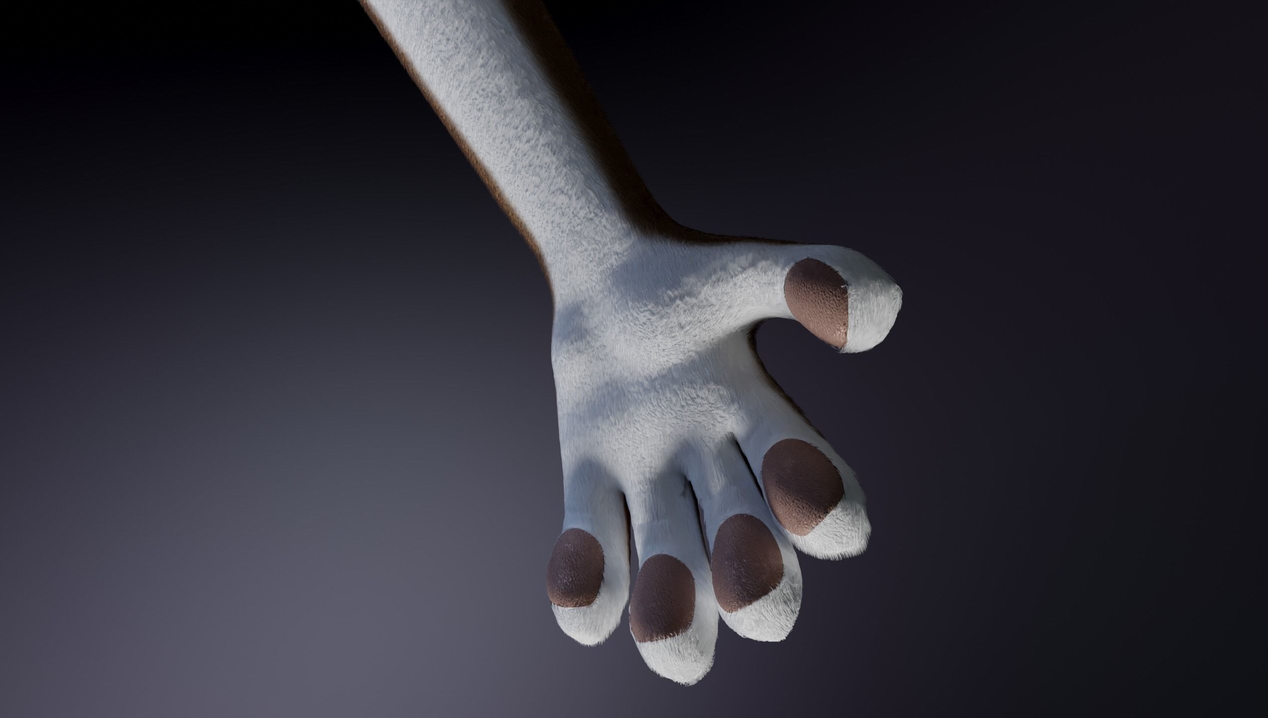 Carly Anthro Rabbit 3D model_11