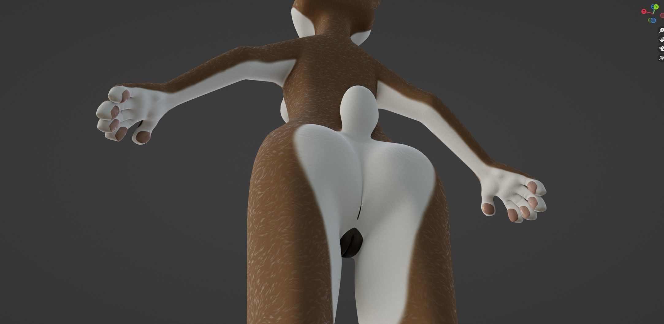 Carly Anthro Rabbit 3D model_51