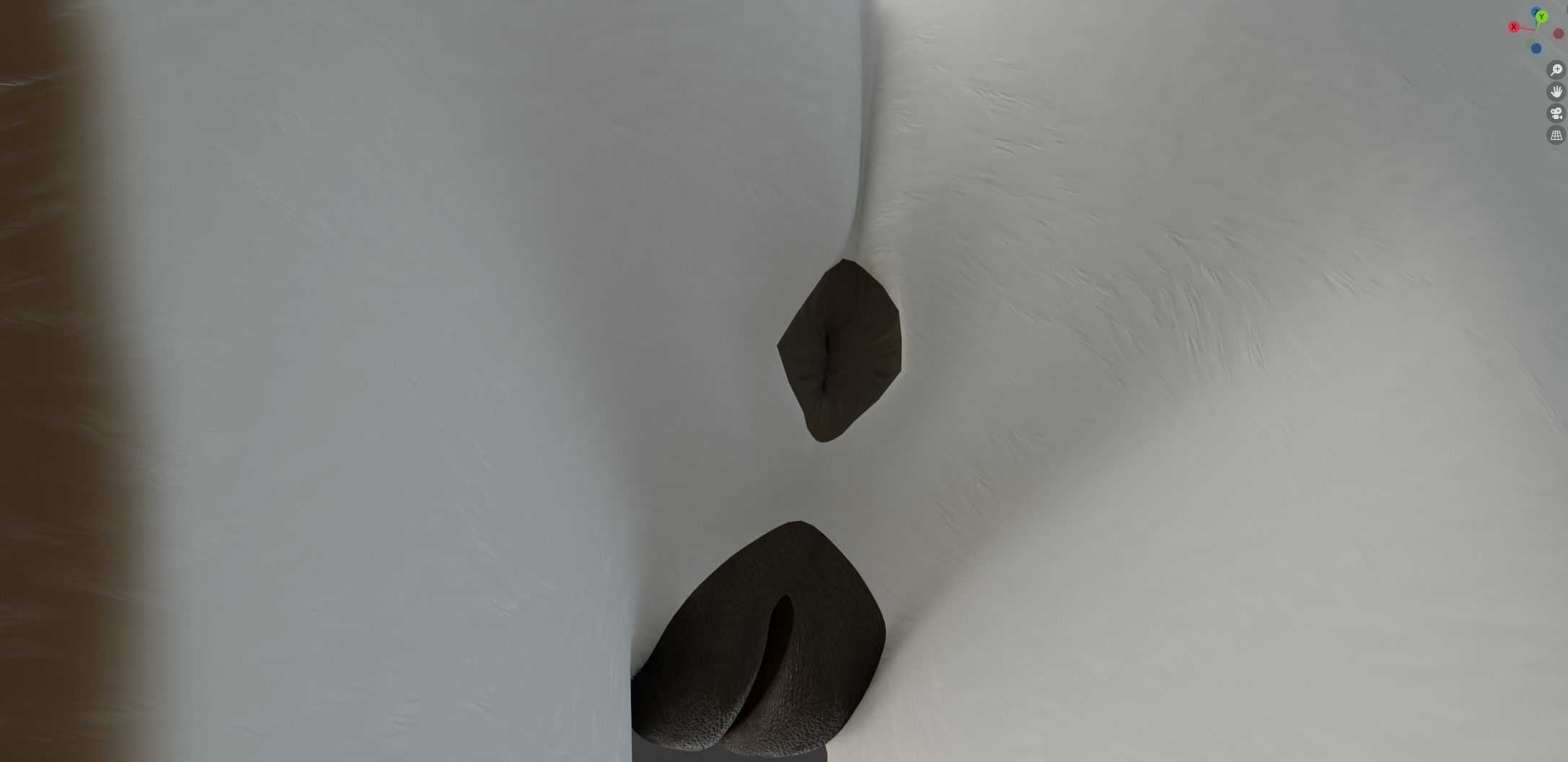 Carly Anthro Rabbit 3D model_59