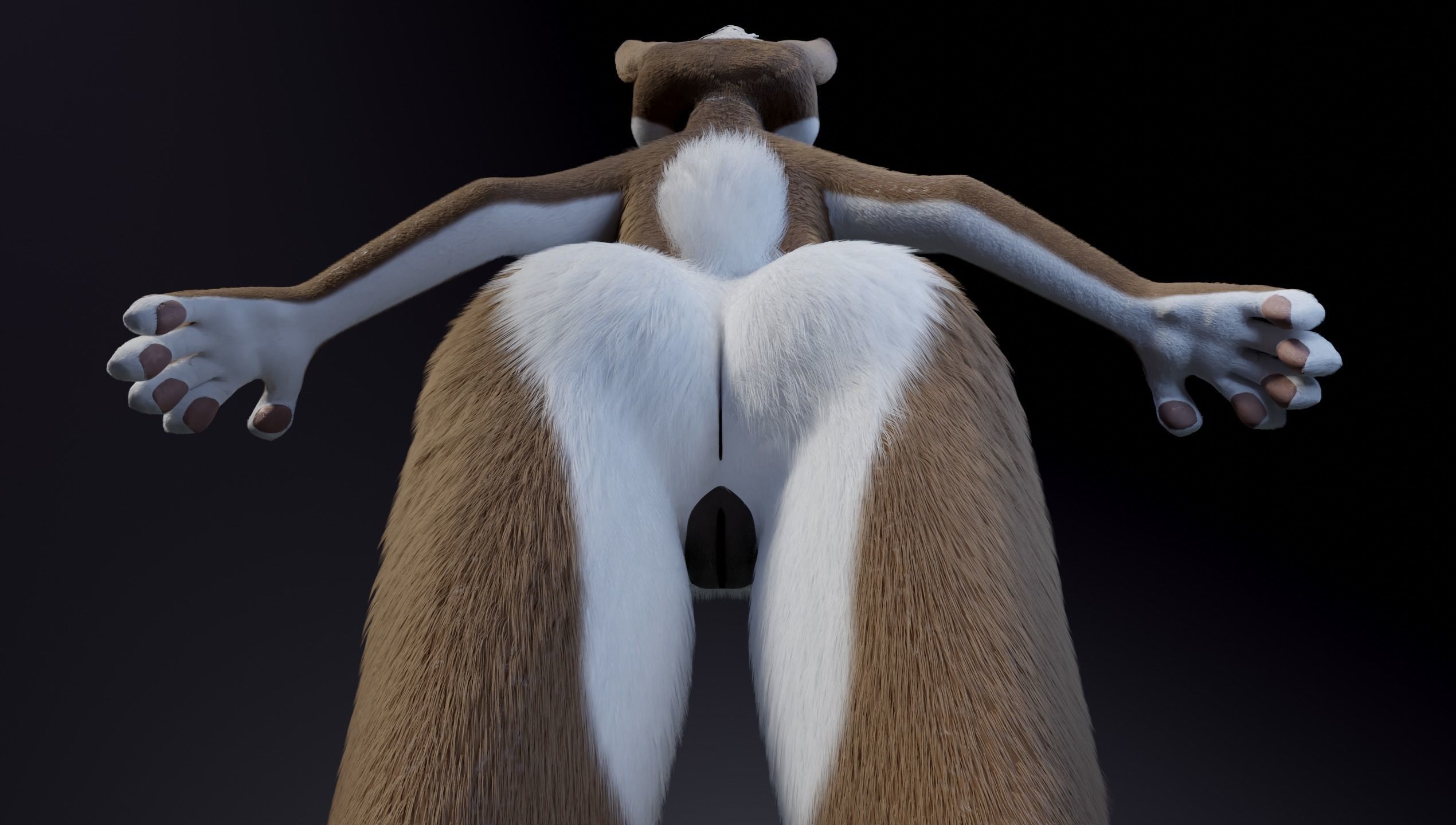 Carly Anthro Rabbit 3D model_15