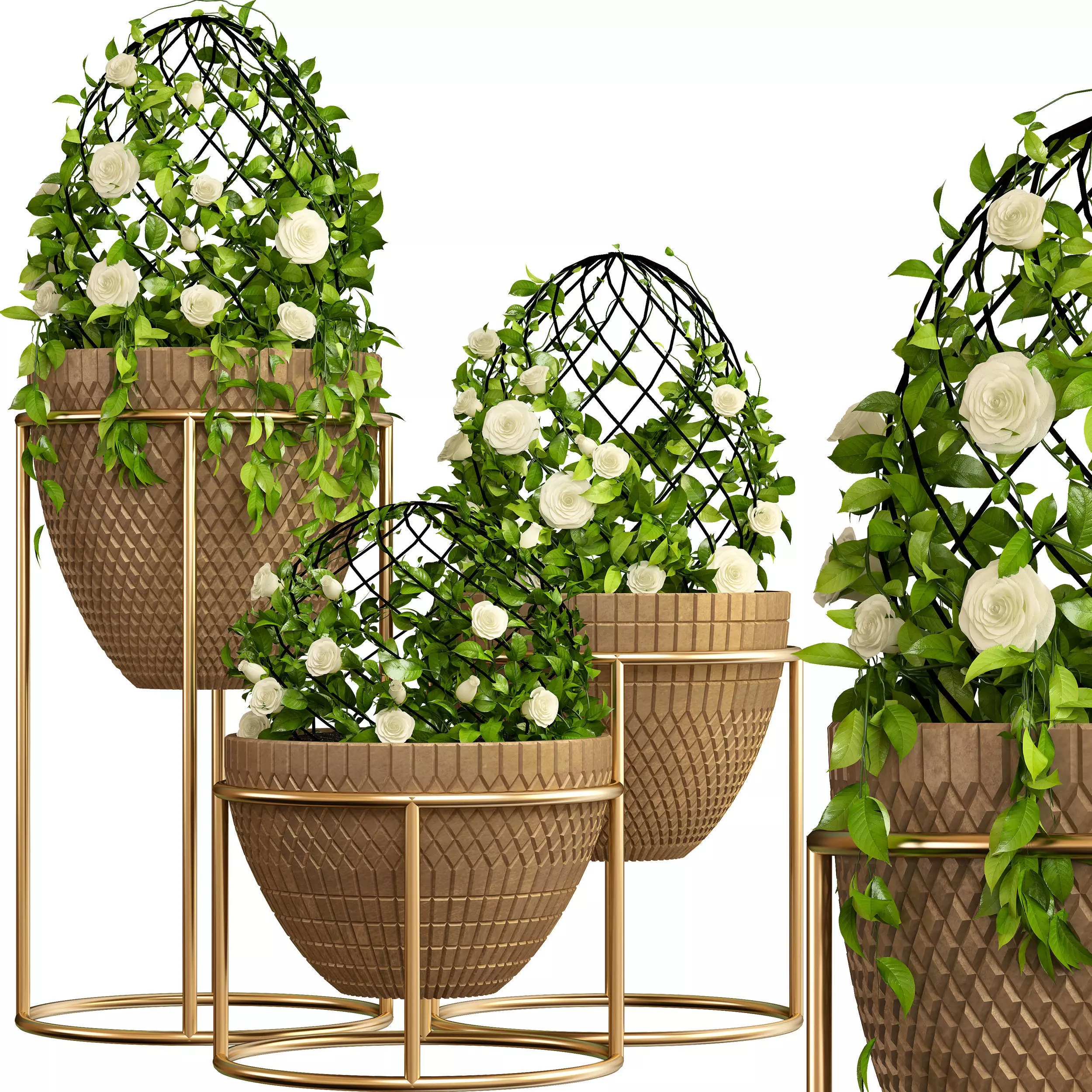 Indoor plants 002 3D model