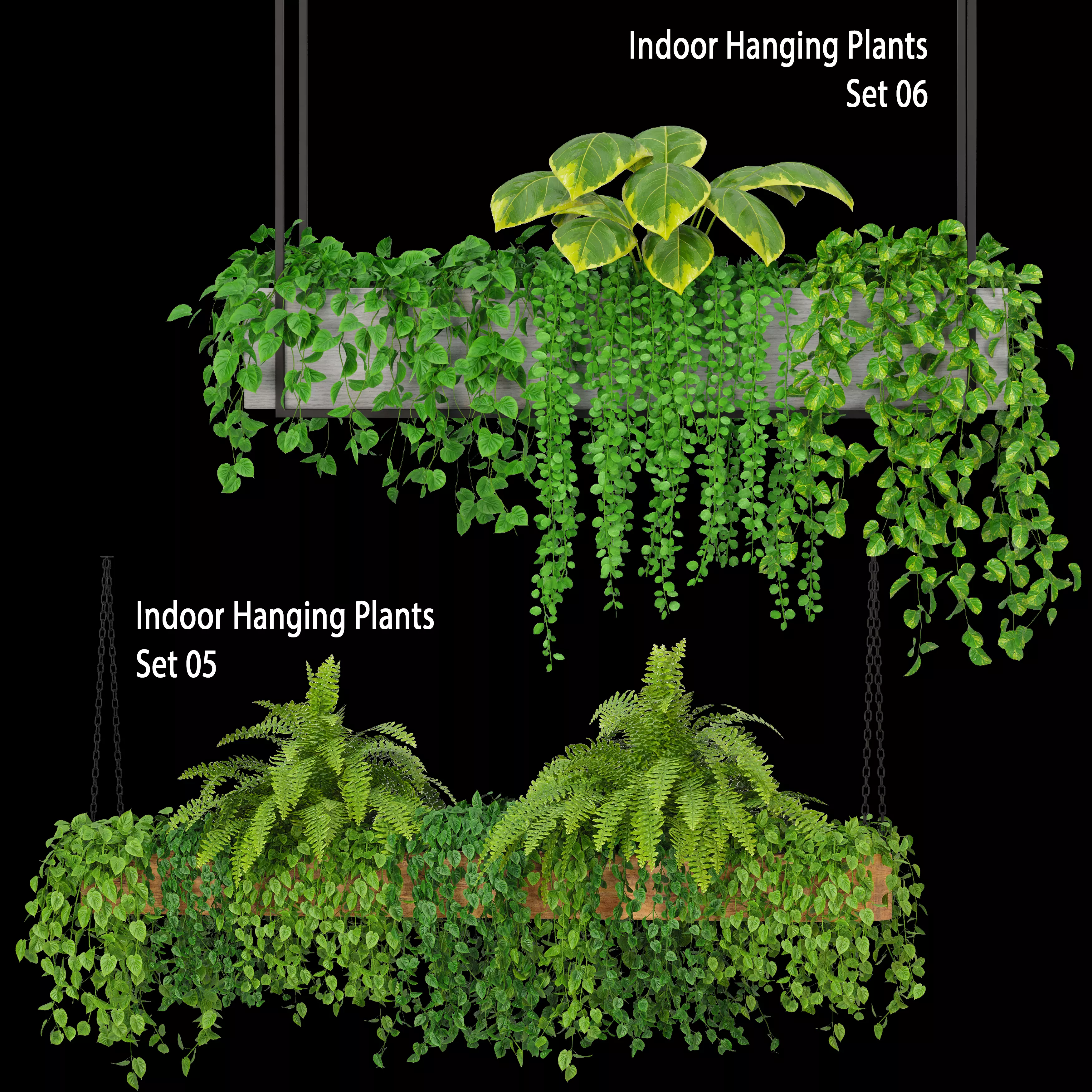 Indoor Hanging Plants - Set 05 and Set 06 3D model