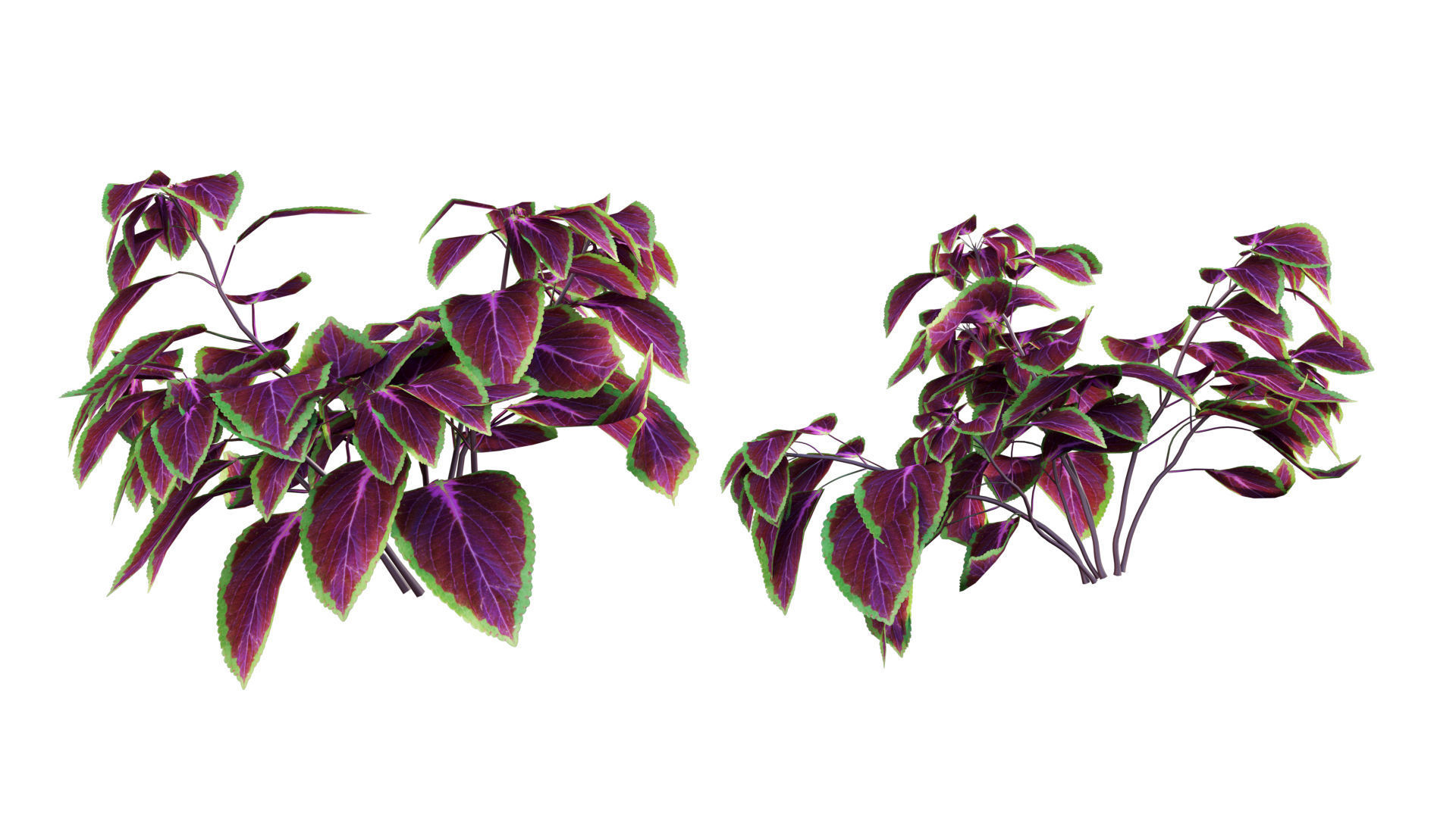 Vertical garden 26 3D model_2