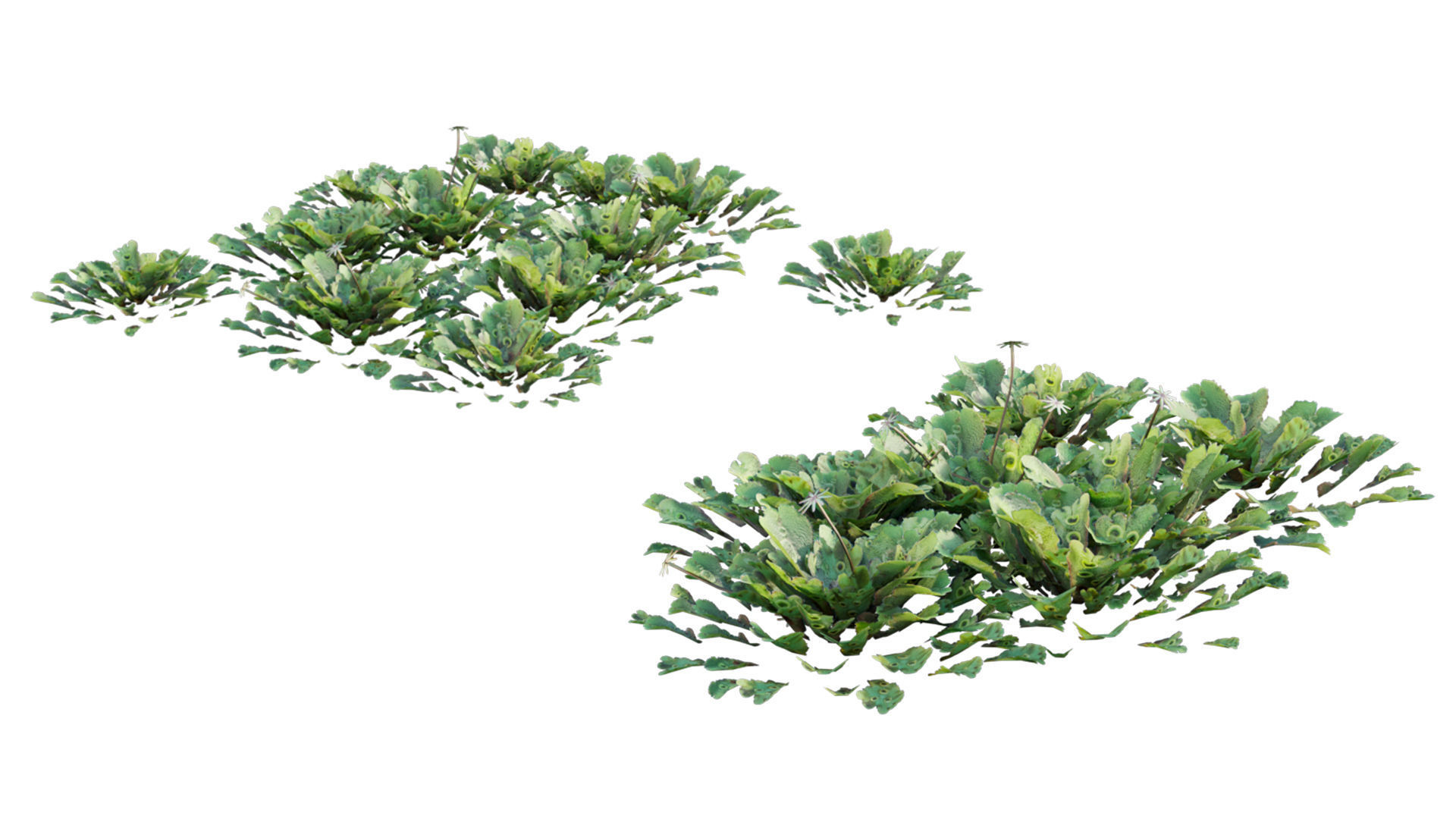 Vertical garden 26 3D model_4